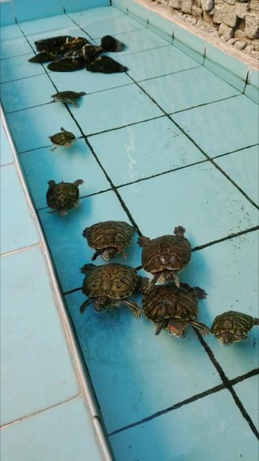 Hotel Baylan Basmane - Image 5