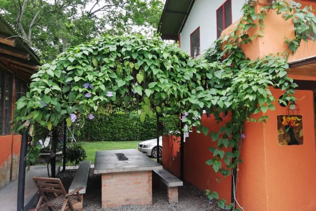 FINCA YULUKA