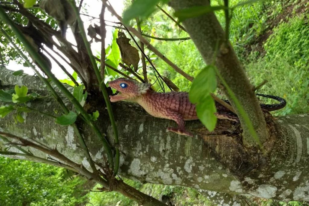 FINCA YULUKA