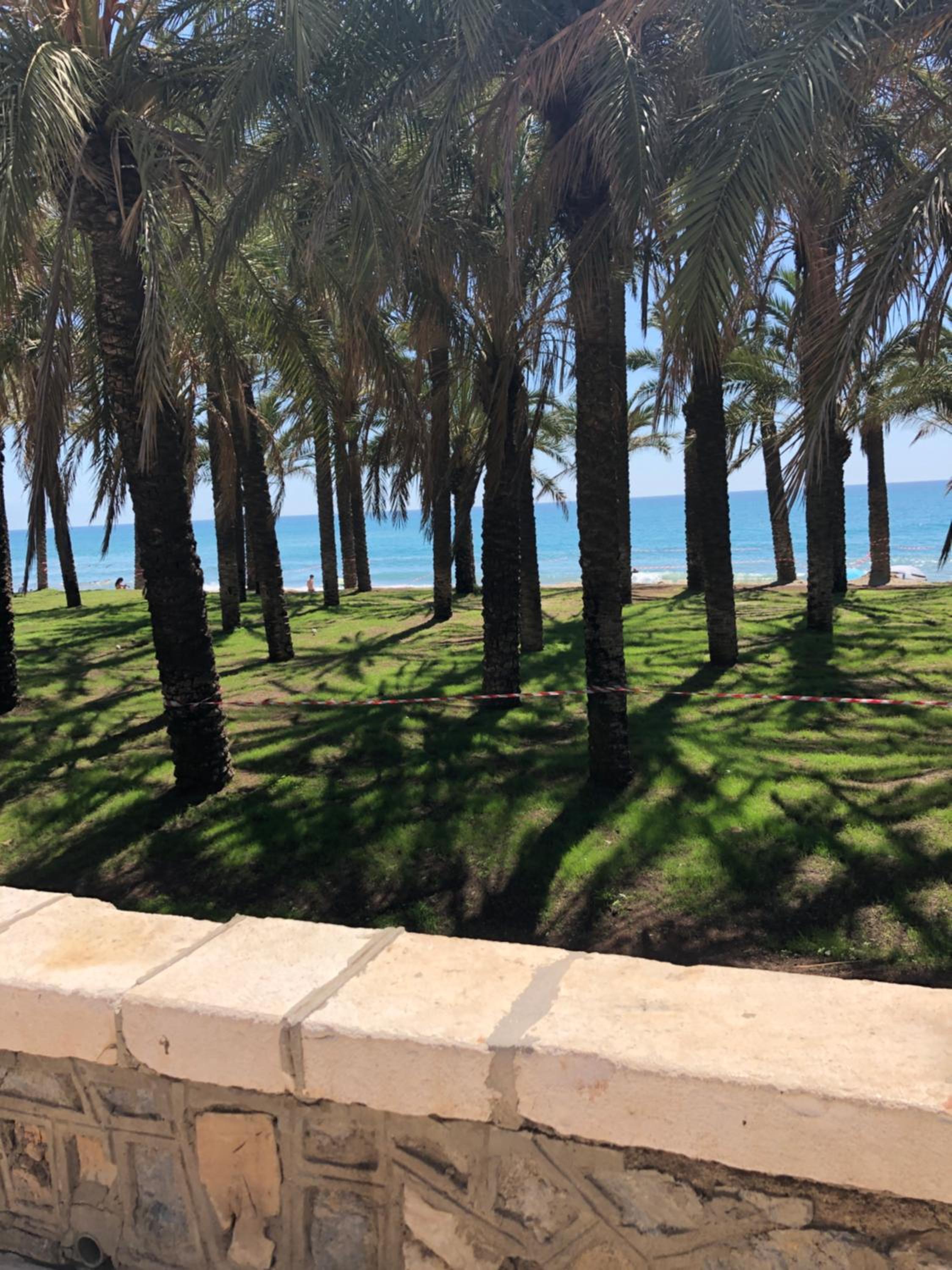 Nice studio with pool and internet fiber view 4