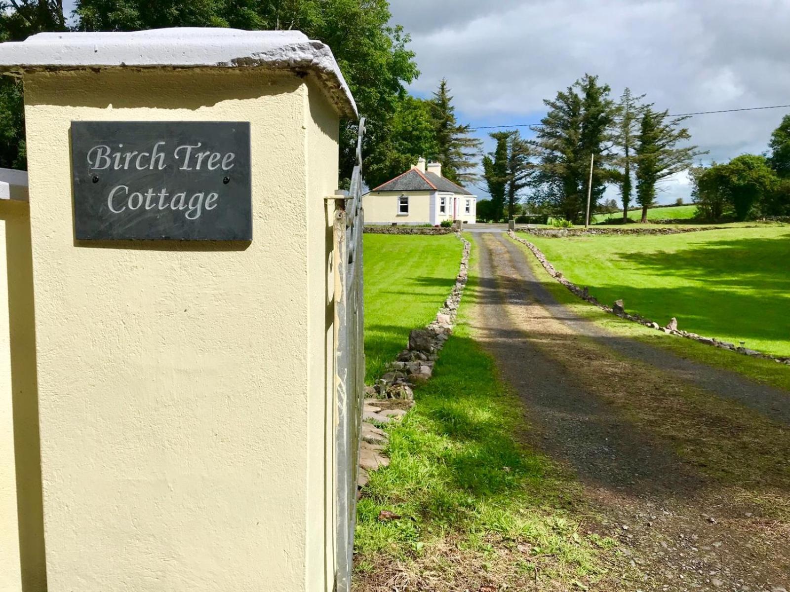 Birch Tree Cottage view 2