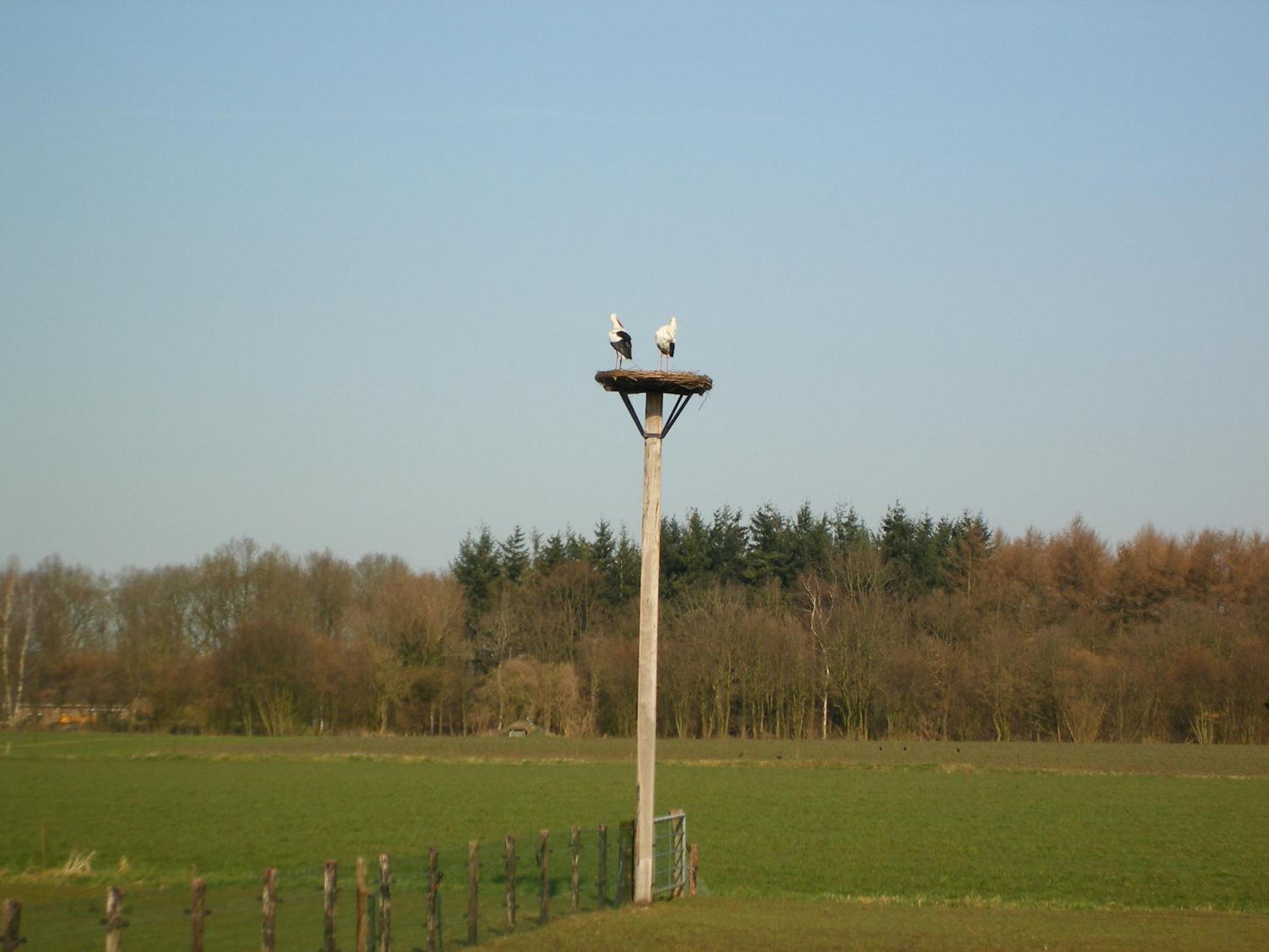Erve Dikkeboer
