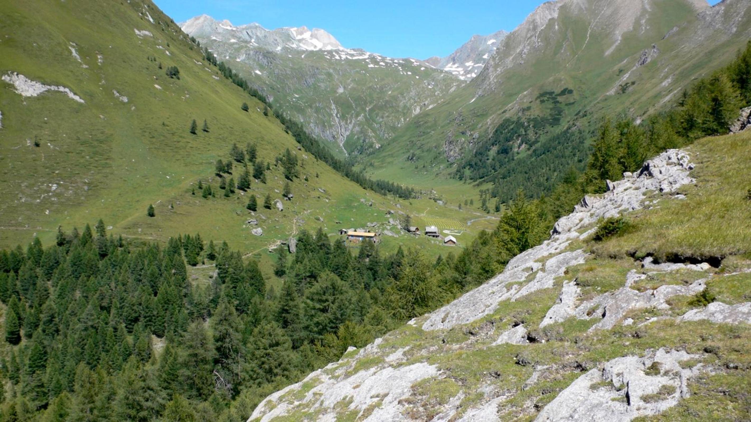 Gästehaus Steinerhof