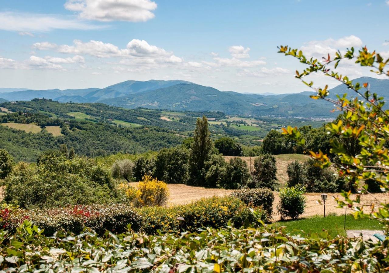 Villa La Ginestra con piscina privata view 4
