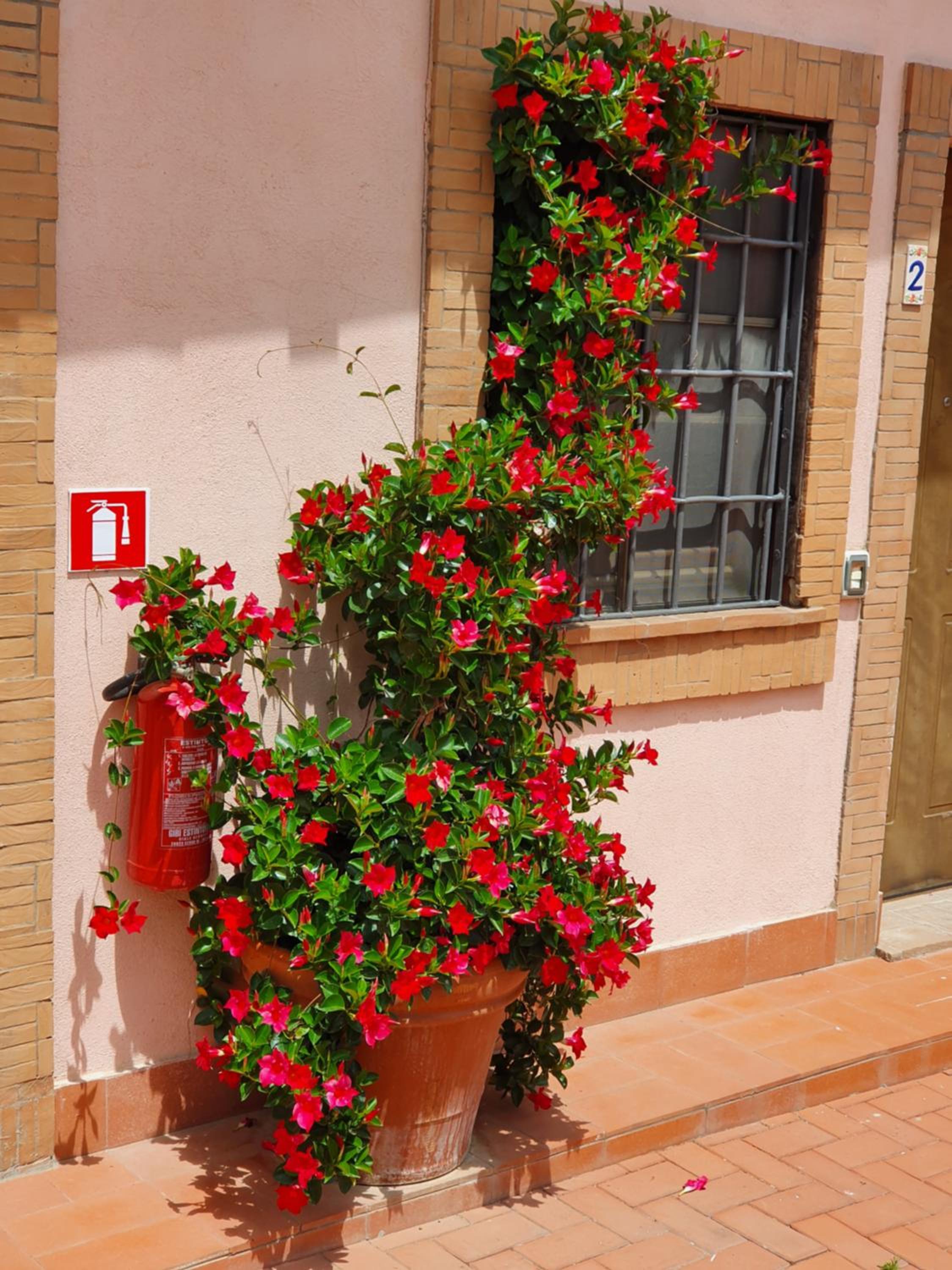 Azienda Agricola Sinisi
