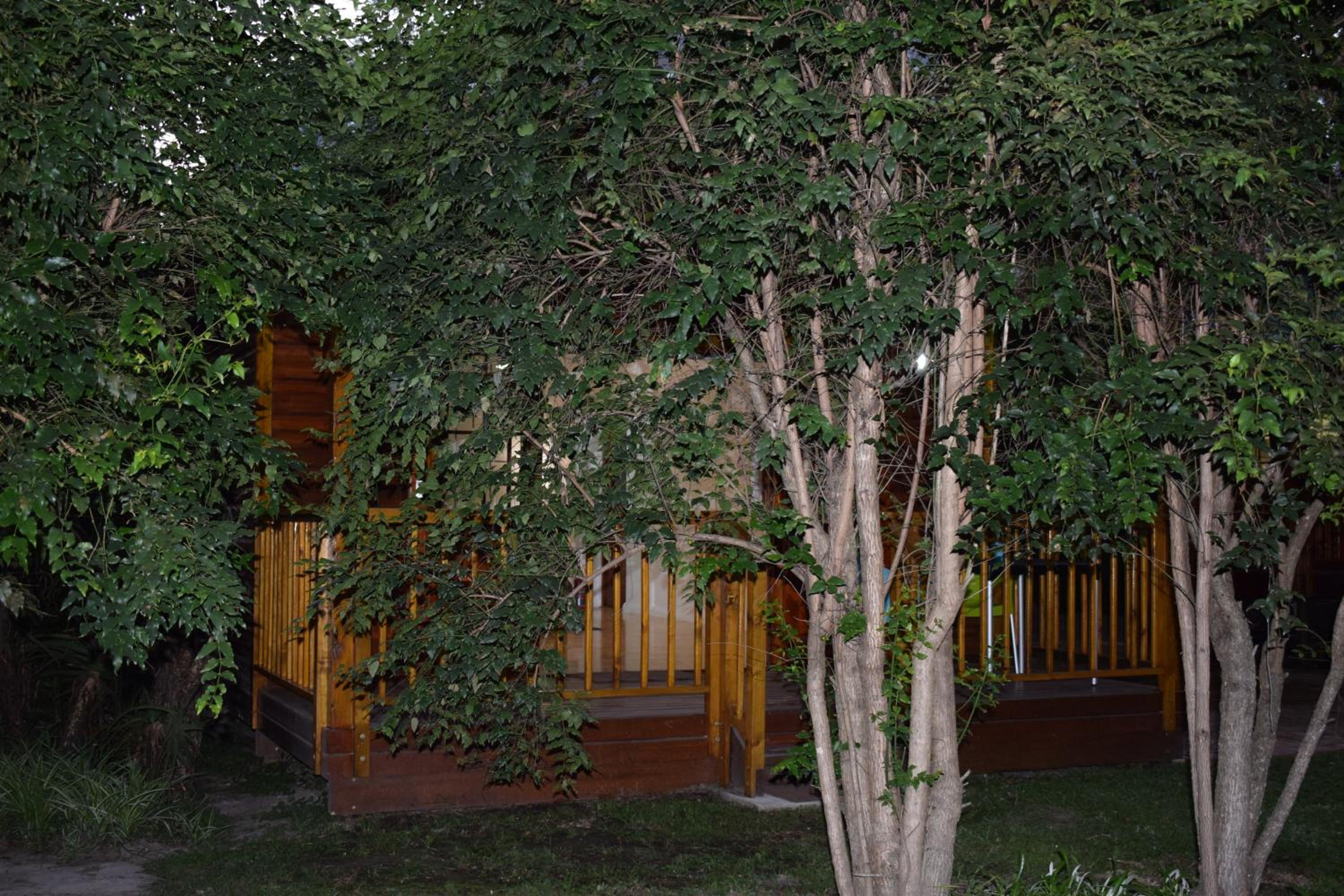 Photo 27