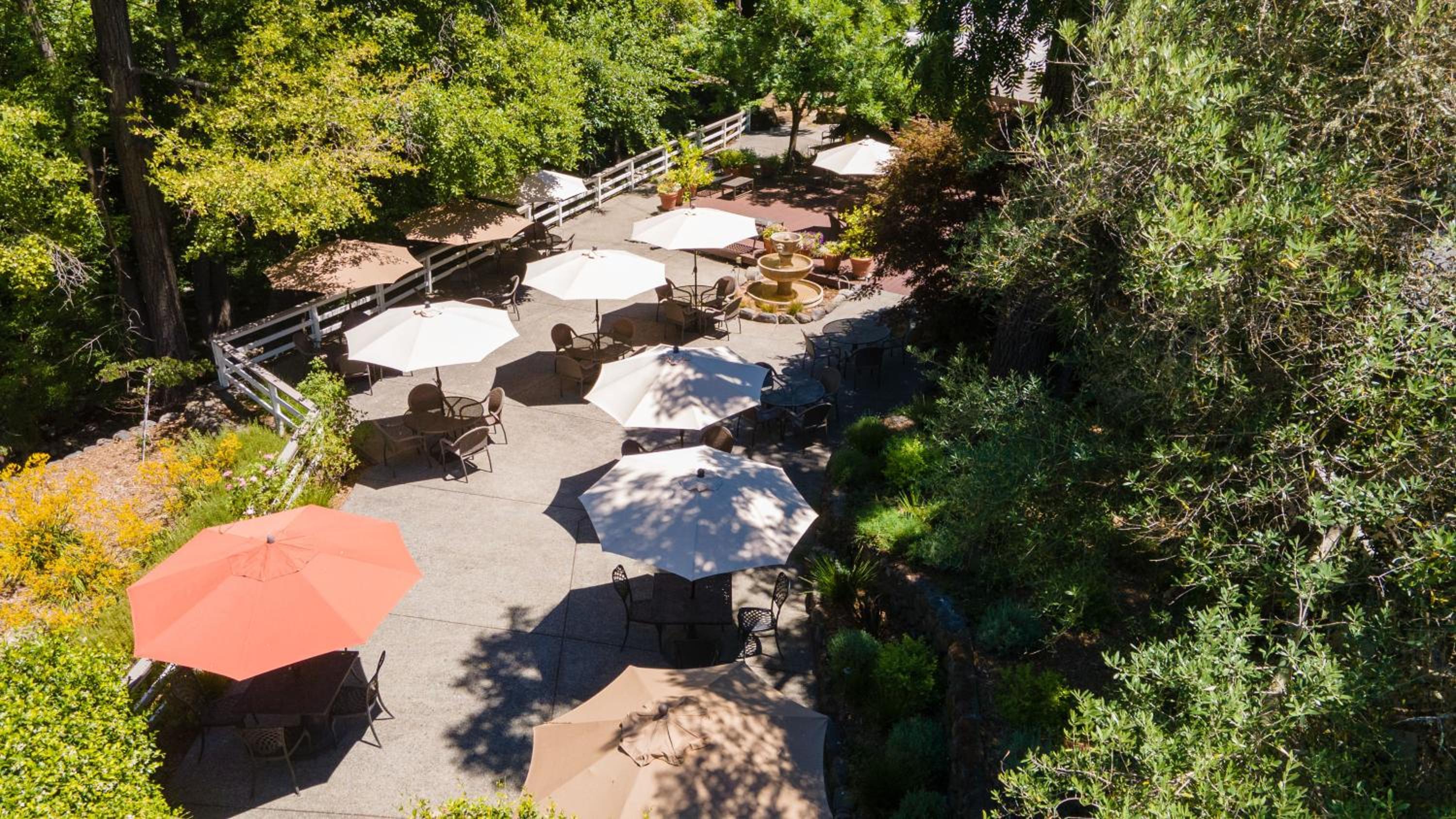 The Jack London Lodge, Billede 33