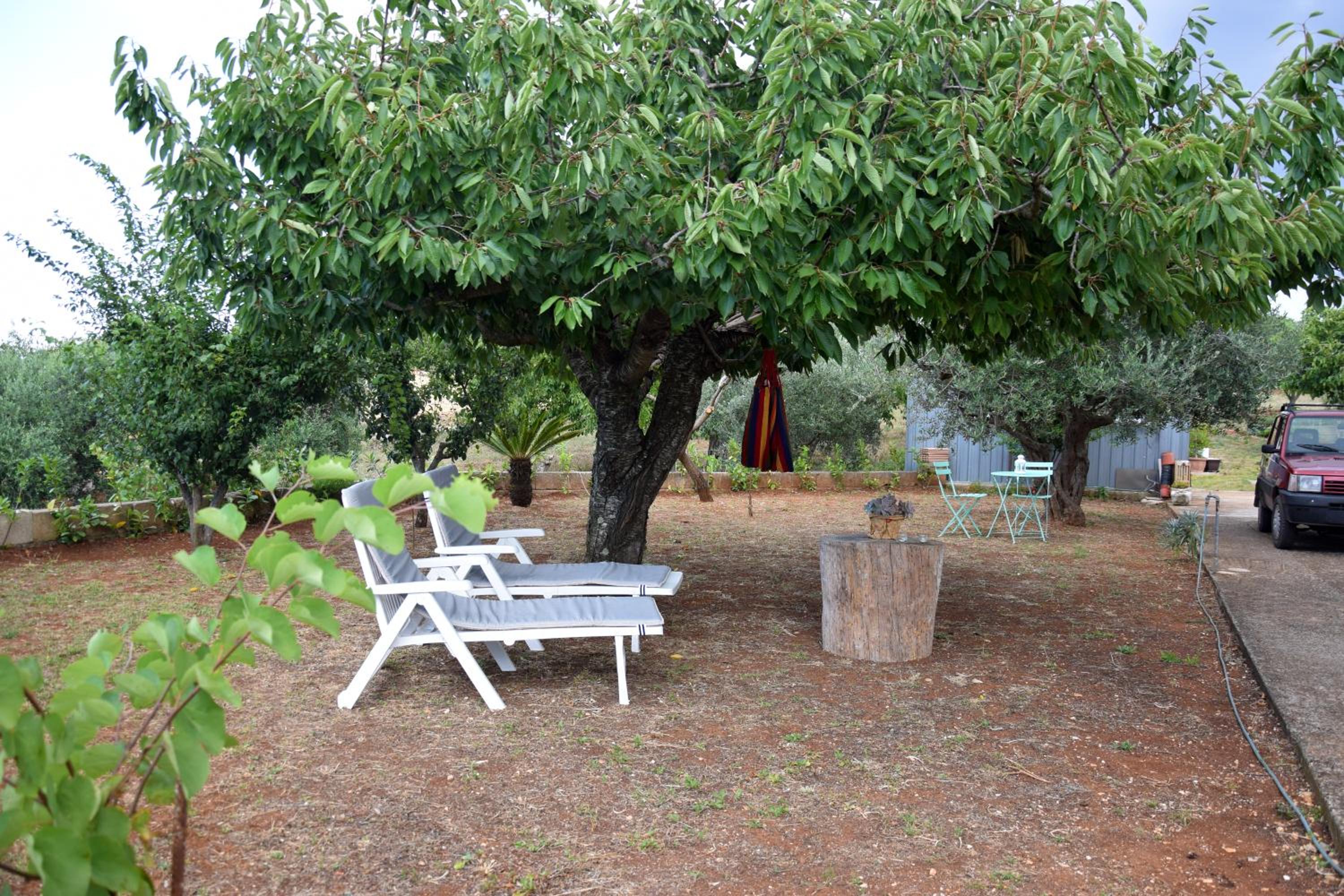 A volte in collina view 3