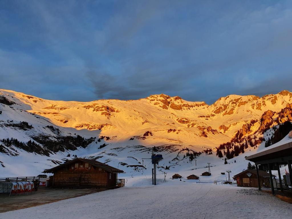 Ferien im Paradies view 3