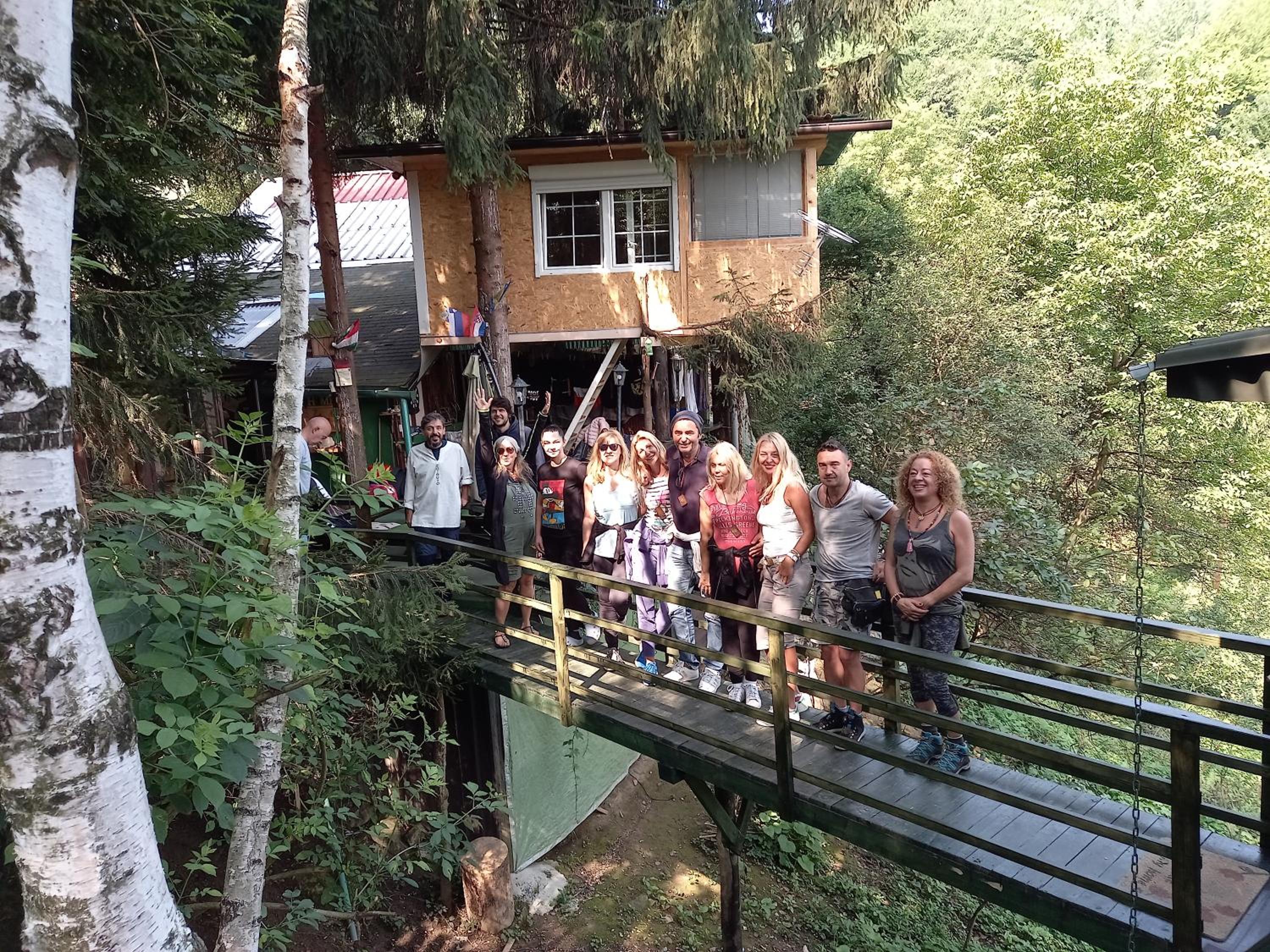 tree house view 2