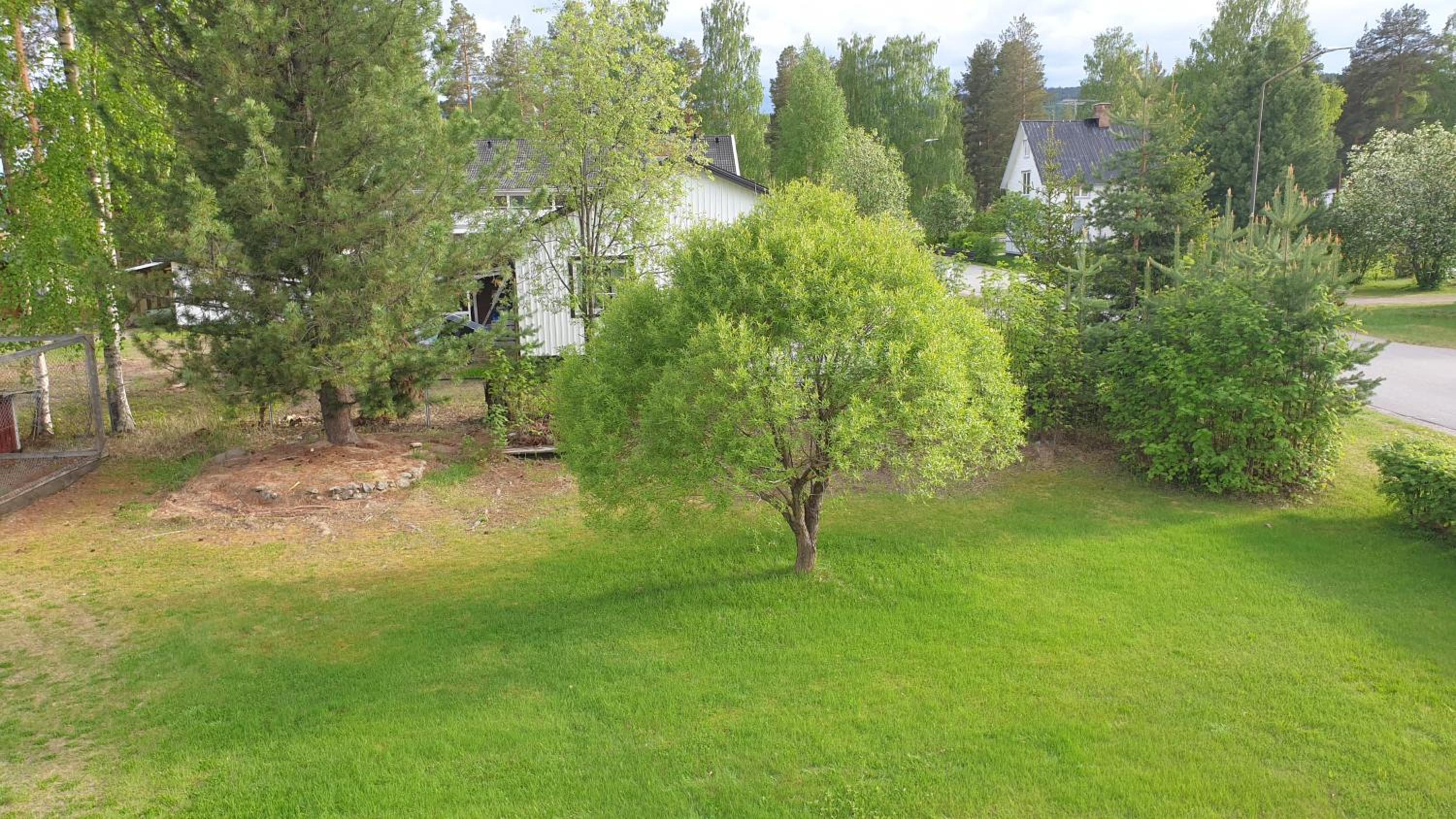 Photo 26