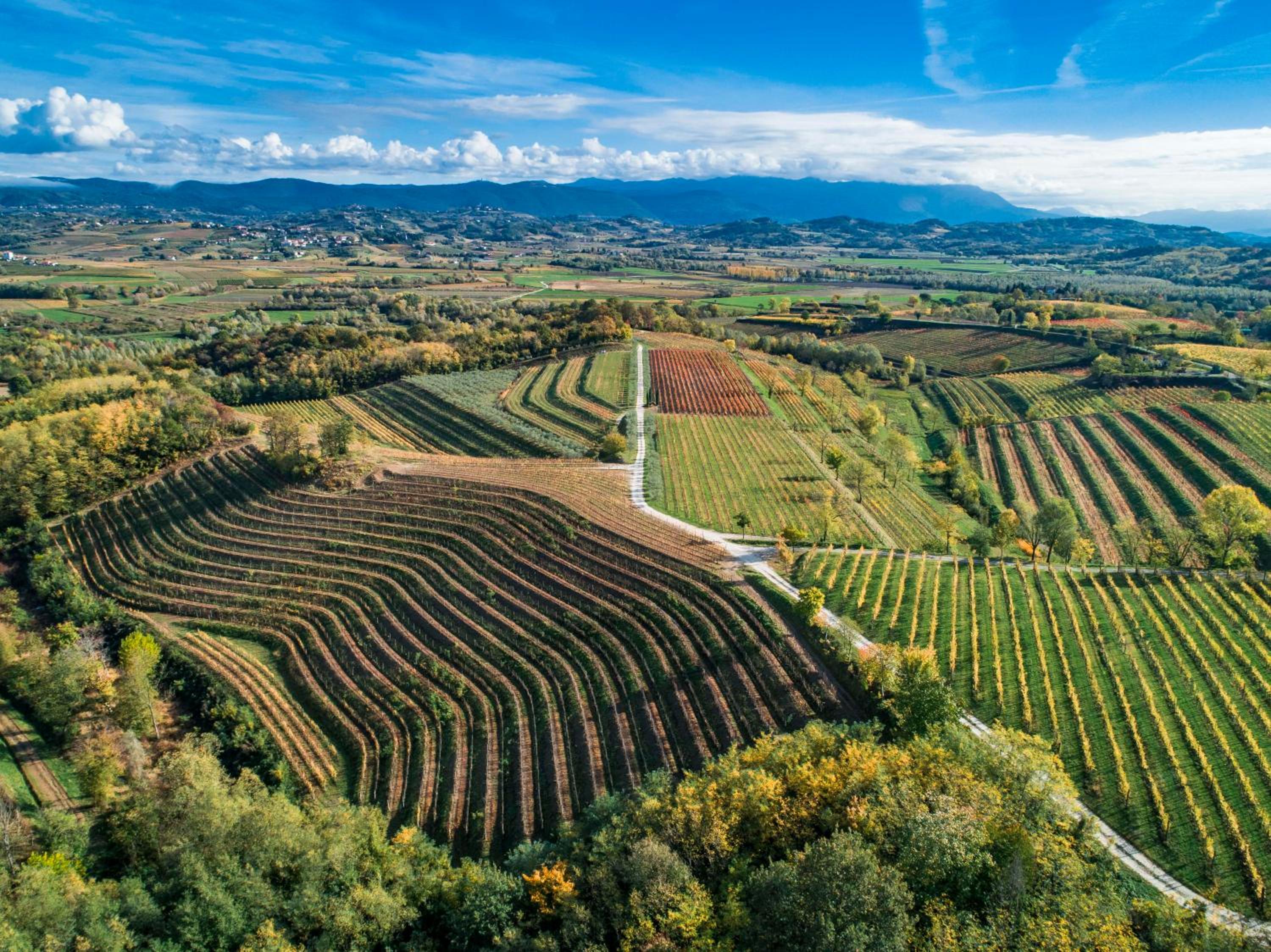 Relais Russiz Superiore view 3