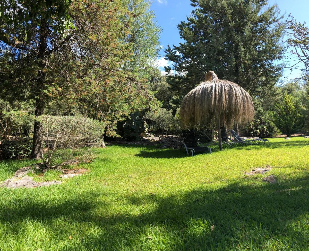 L'Hort Petit de Ternelles, en Pollensa photo 2