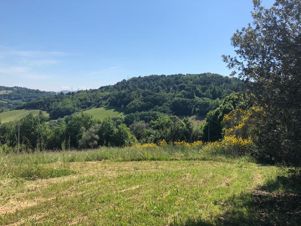 Casale del monte, Pesaro photo 4