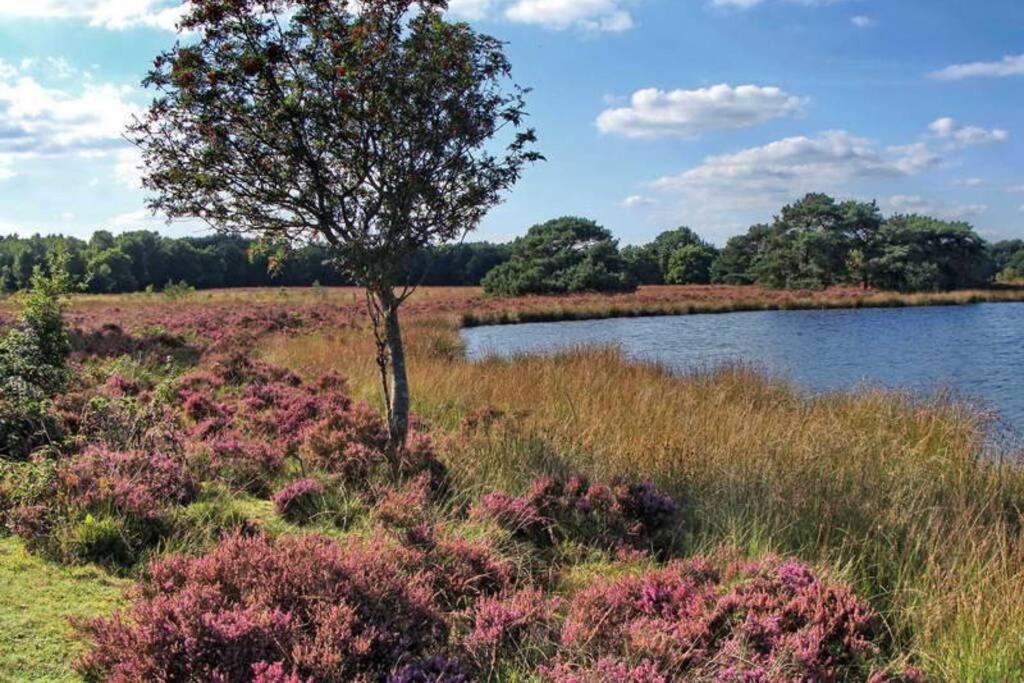 Drentse bungalow in natuur en rust view 2