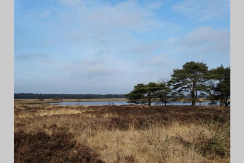 Drentse bungalow in natuur en rust view 4