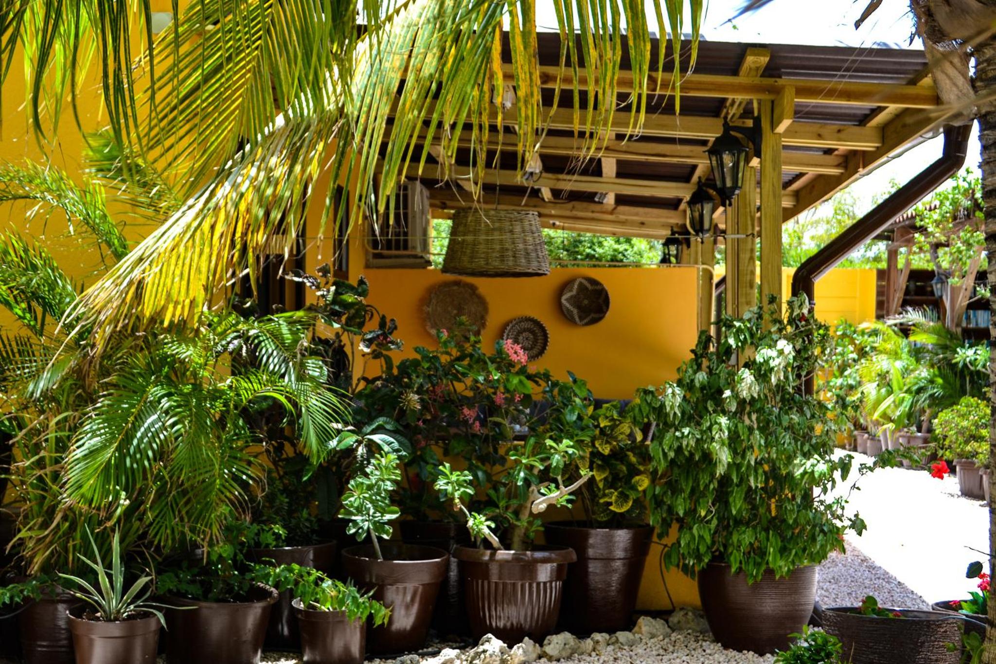 Jan Kok Lodges