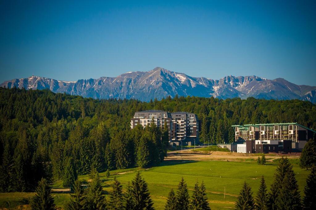 Silver Mountain G1 21 R view 2