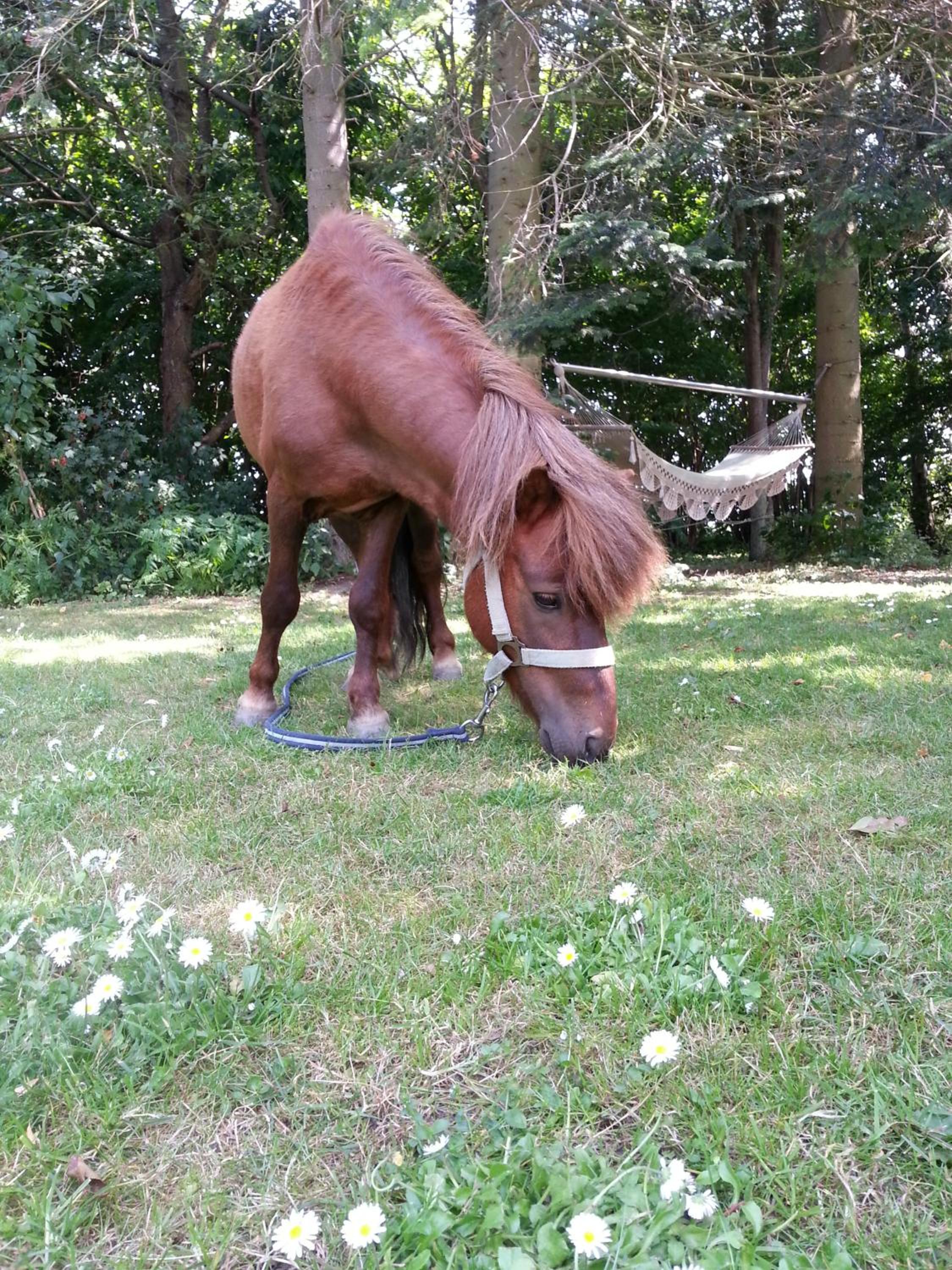 Roskilde B&B