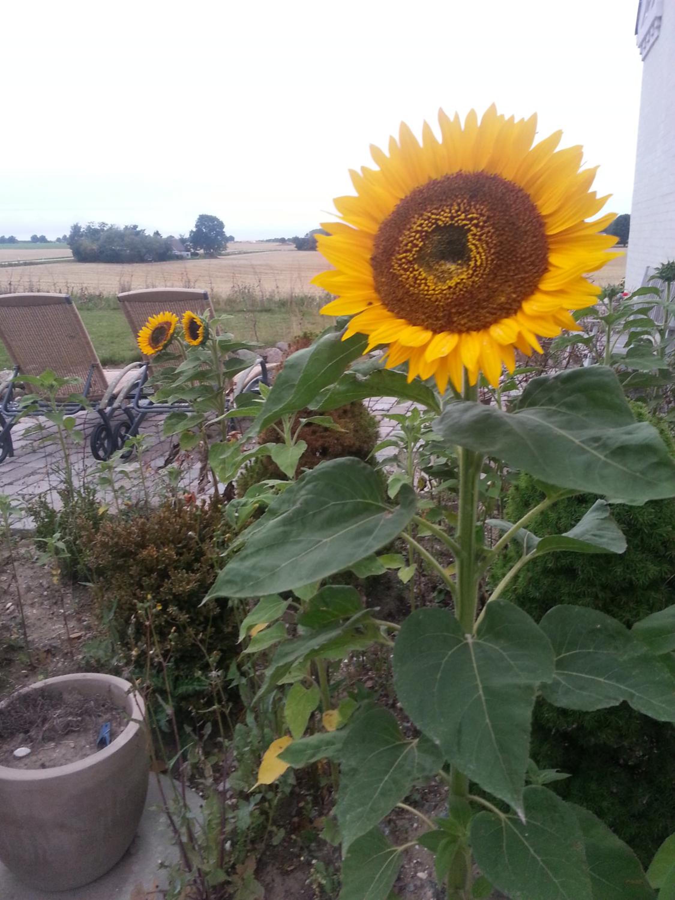 Roskilde B&B