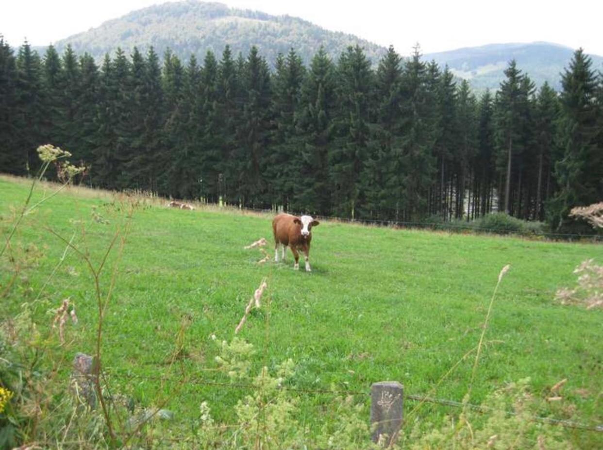 Kleine Auszeit Winterberg view 3