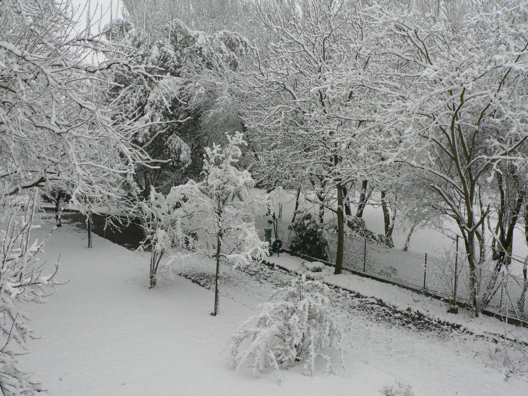 Photo 26