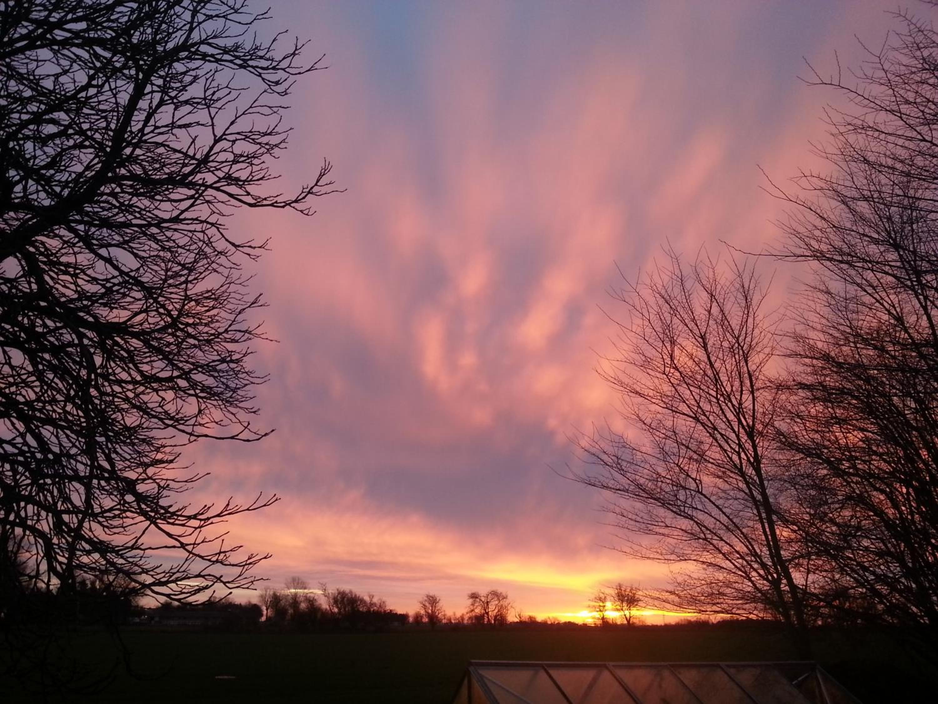 Roskilde B&B