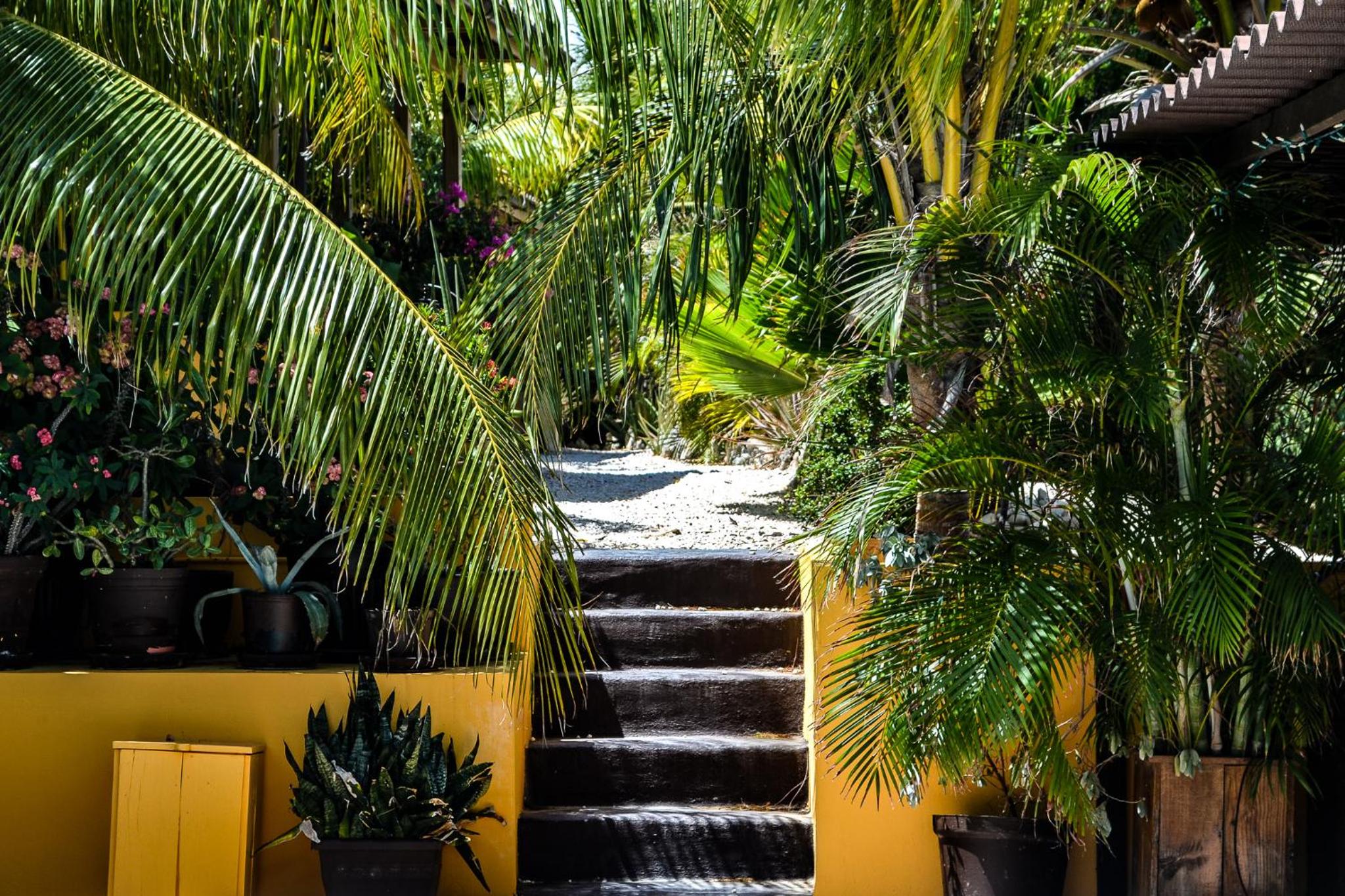 Jan Kok Lodges