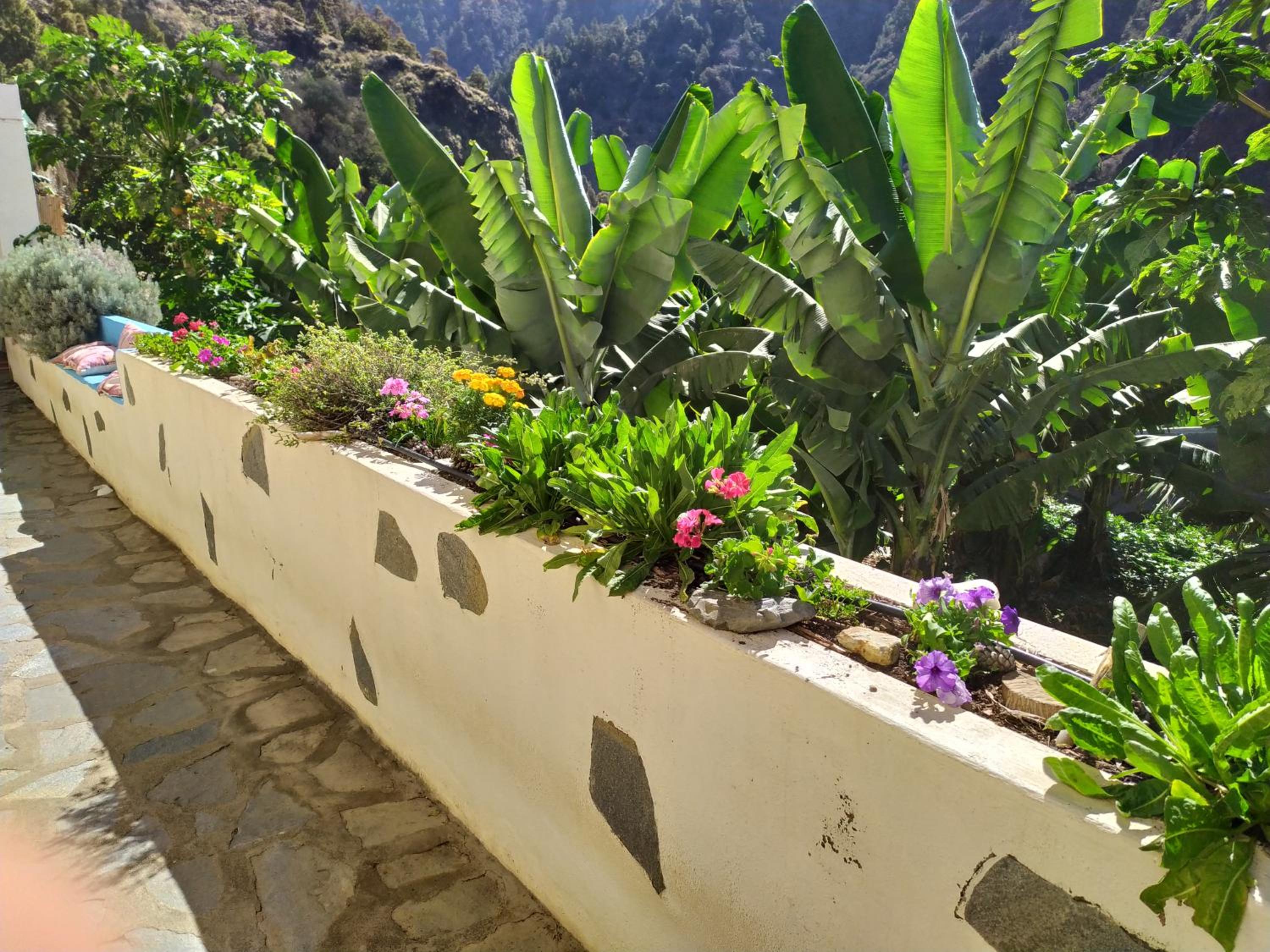 Rivendell Eco lodge