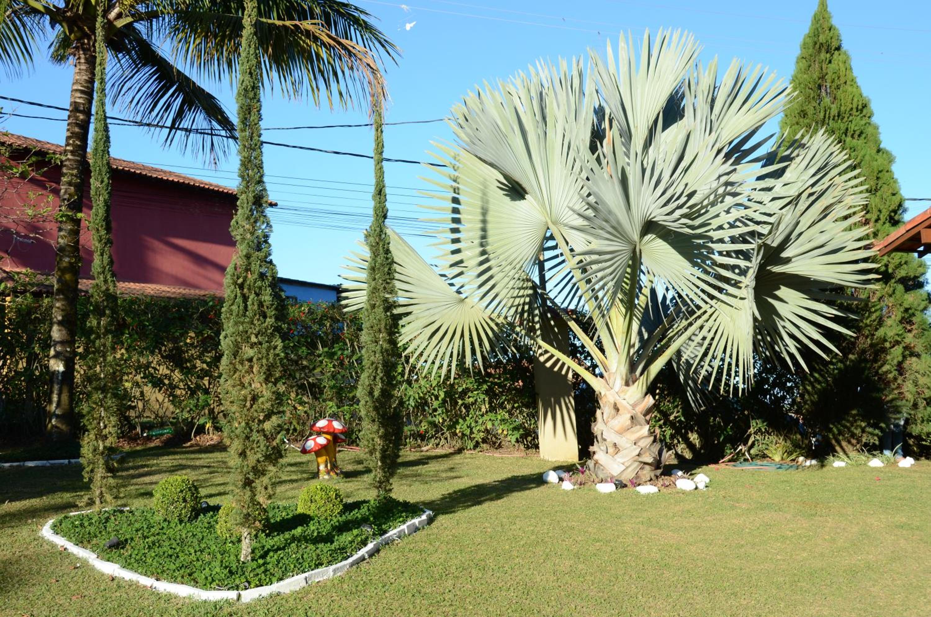 Casa em penedo