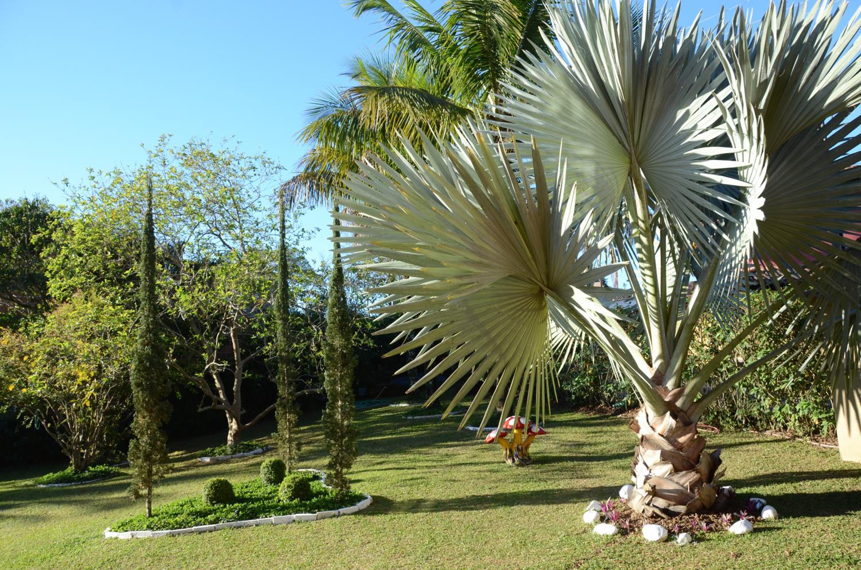 Casa em penedo