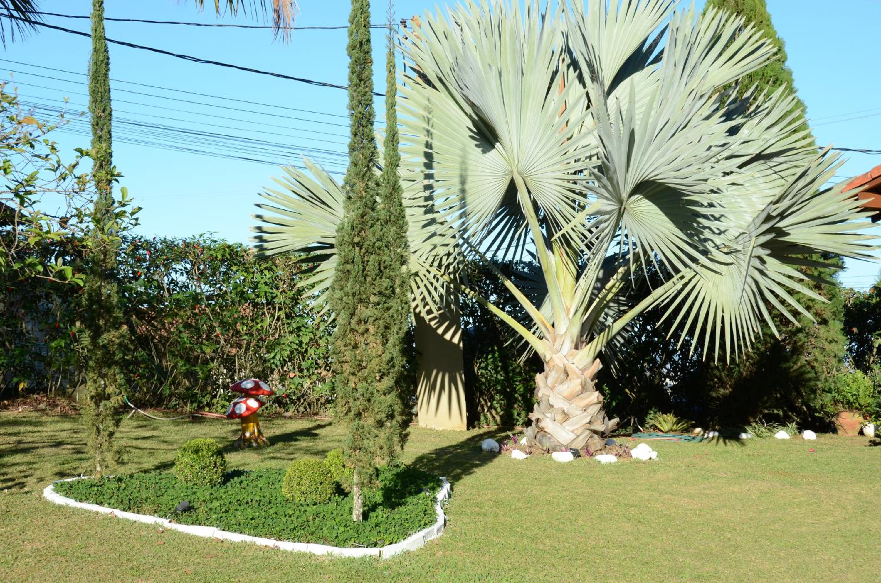 Casa em penedo