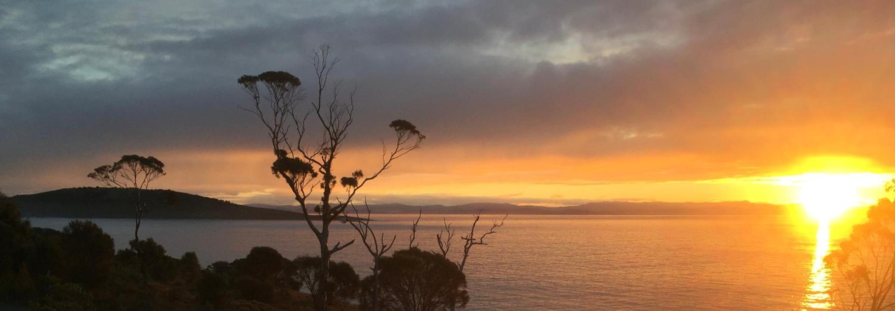 Chill Tasmania