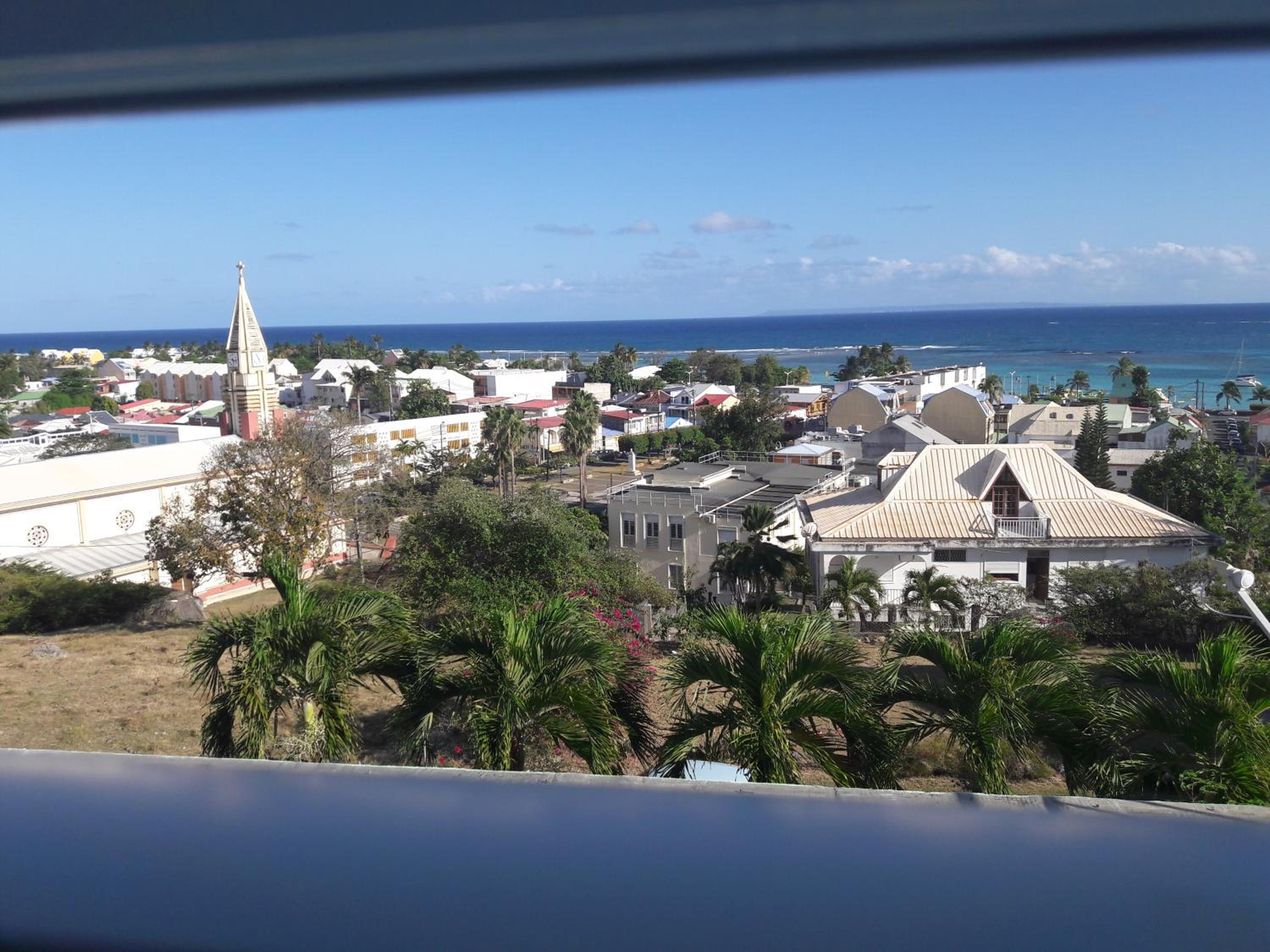 Flamboyant view 4