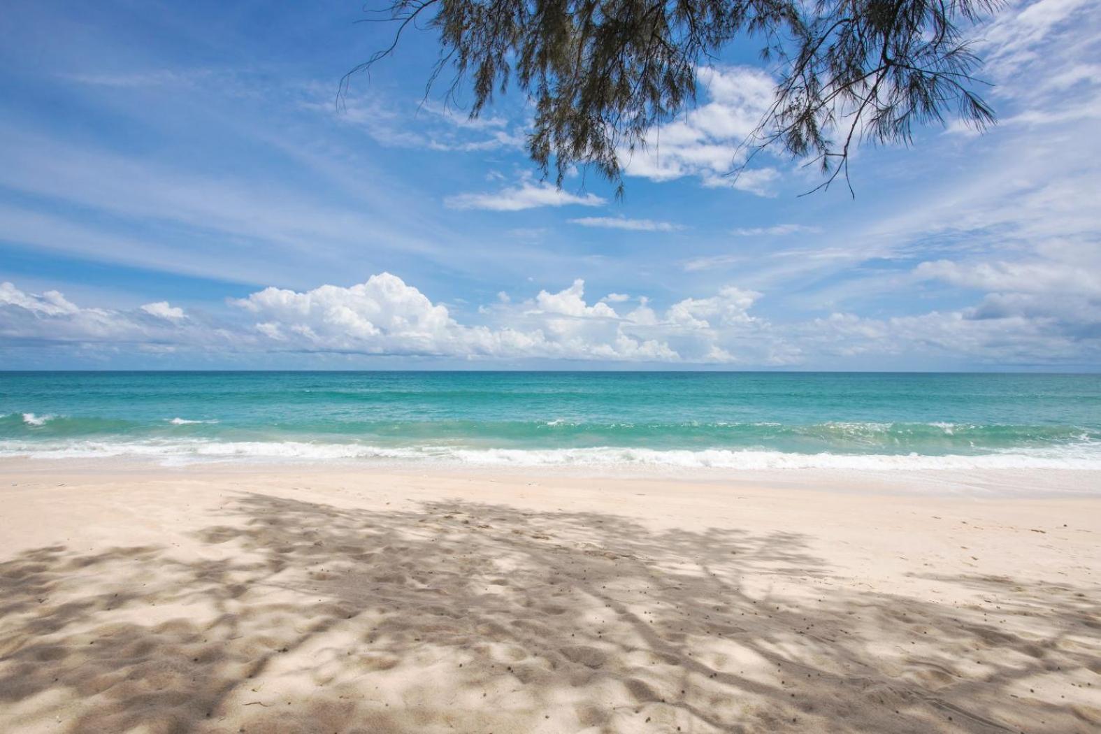 Luxury Oceanfront_pool access apartment