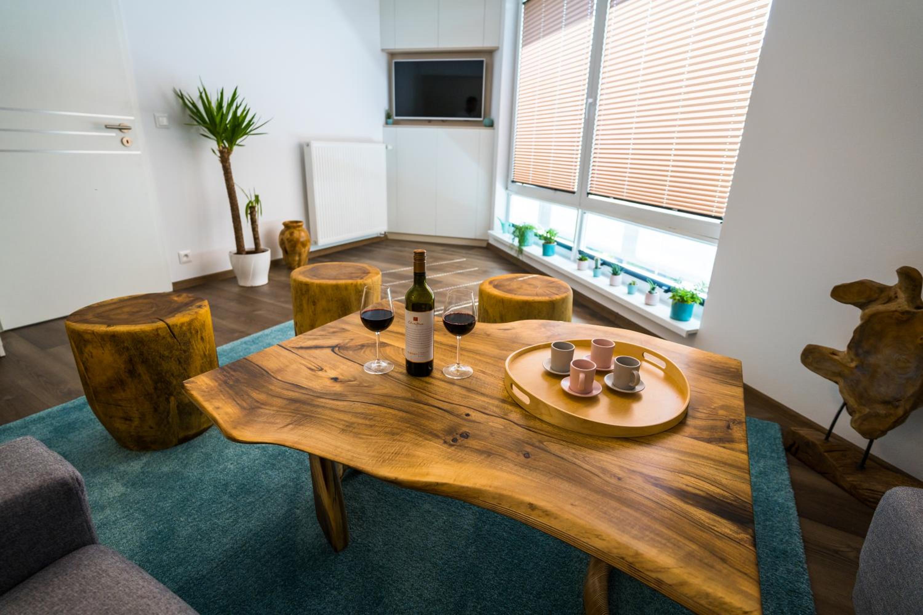 Luxury Mountain View Apartment view 3