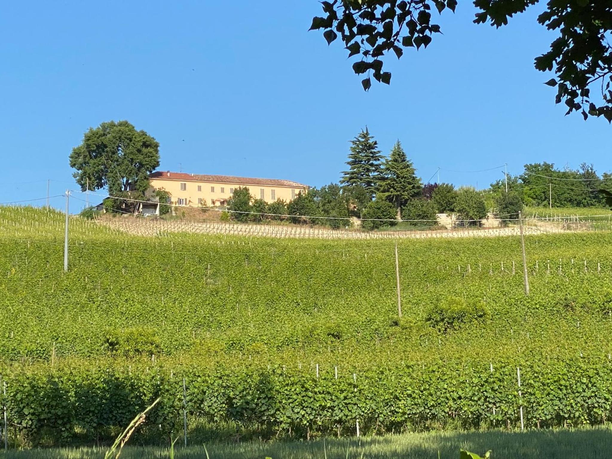 Hotel Allegro Holiday - Image 1