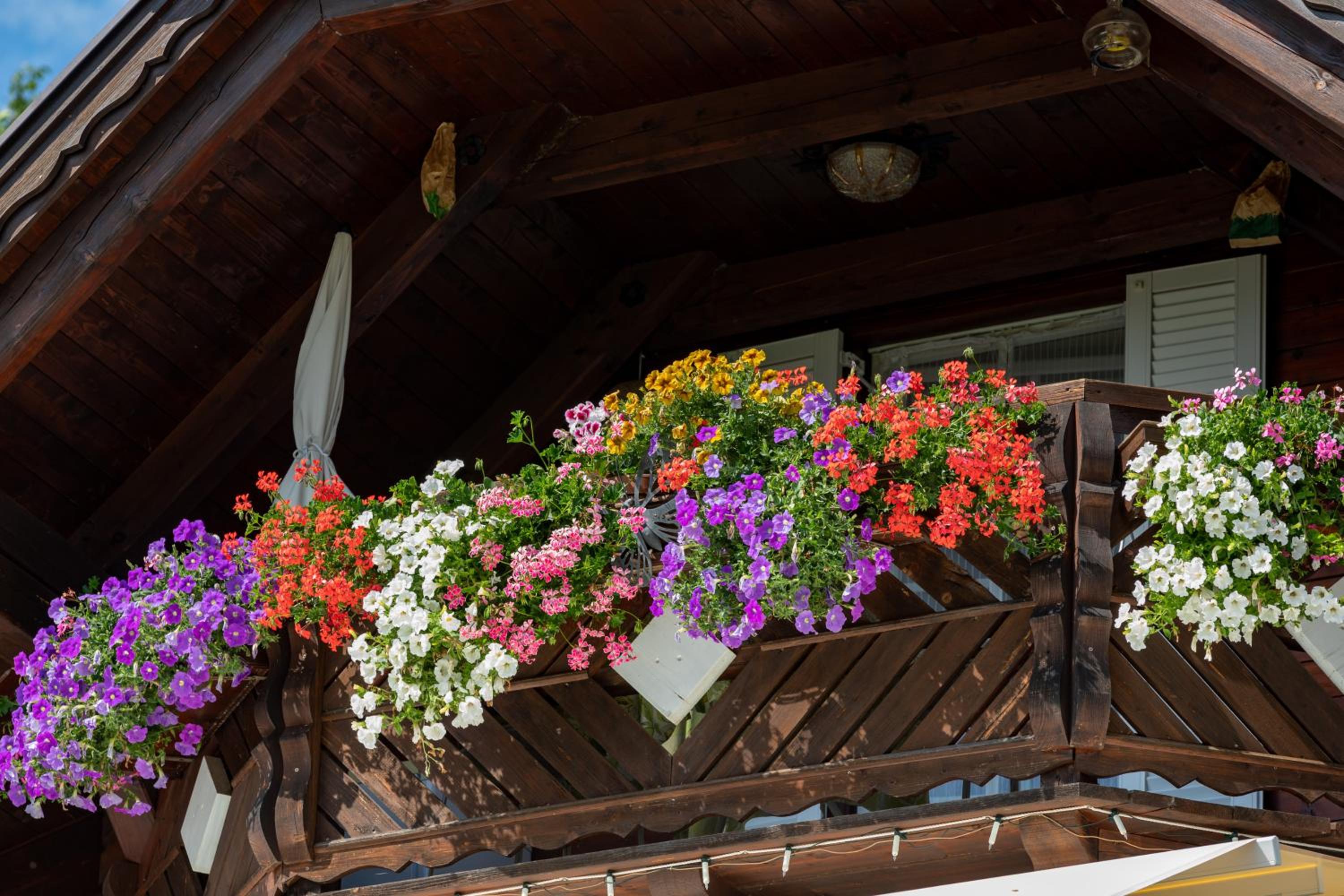 Privatzimmer Haus Gschweitl view 3