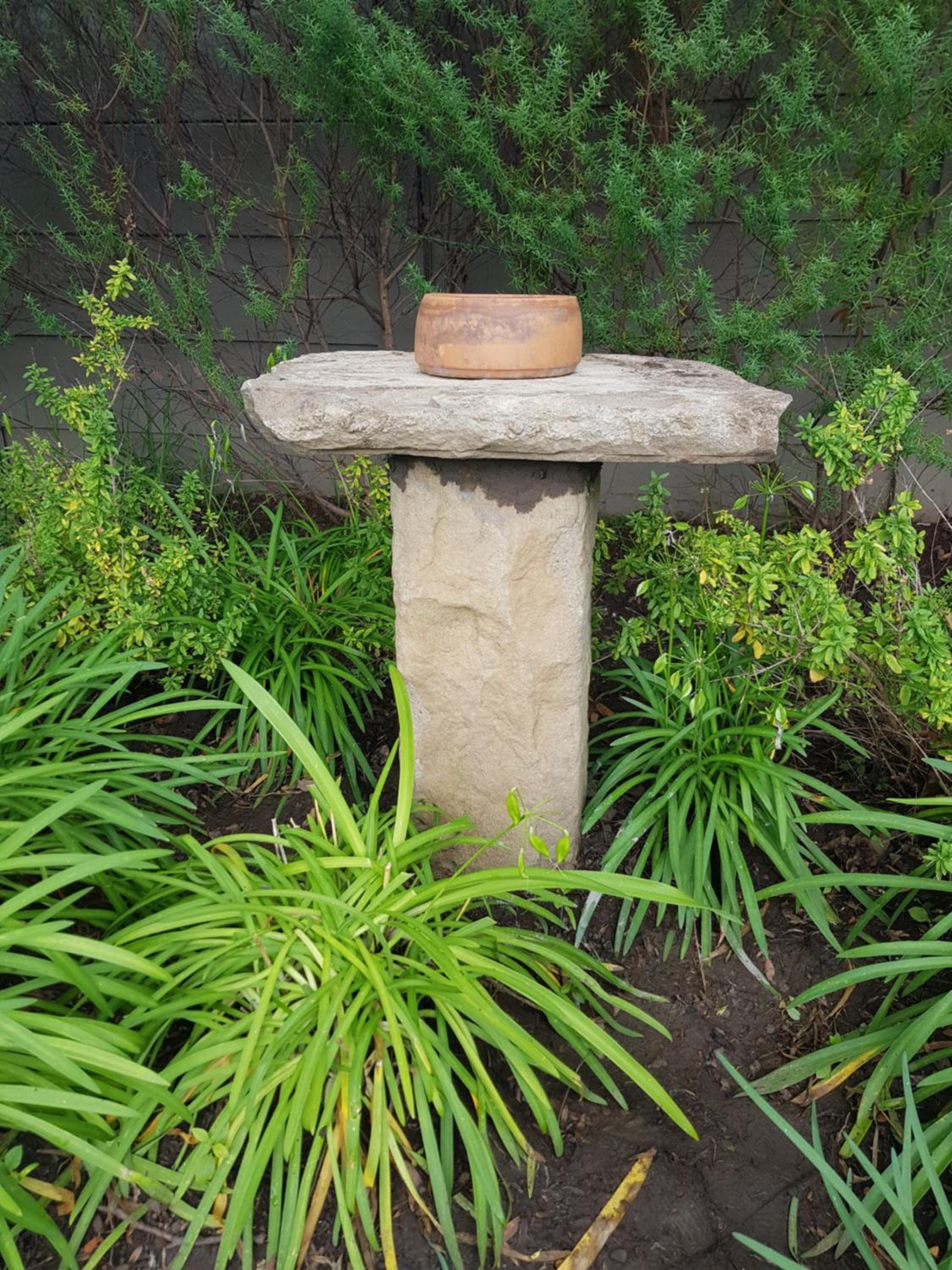 Photo 19