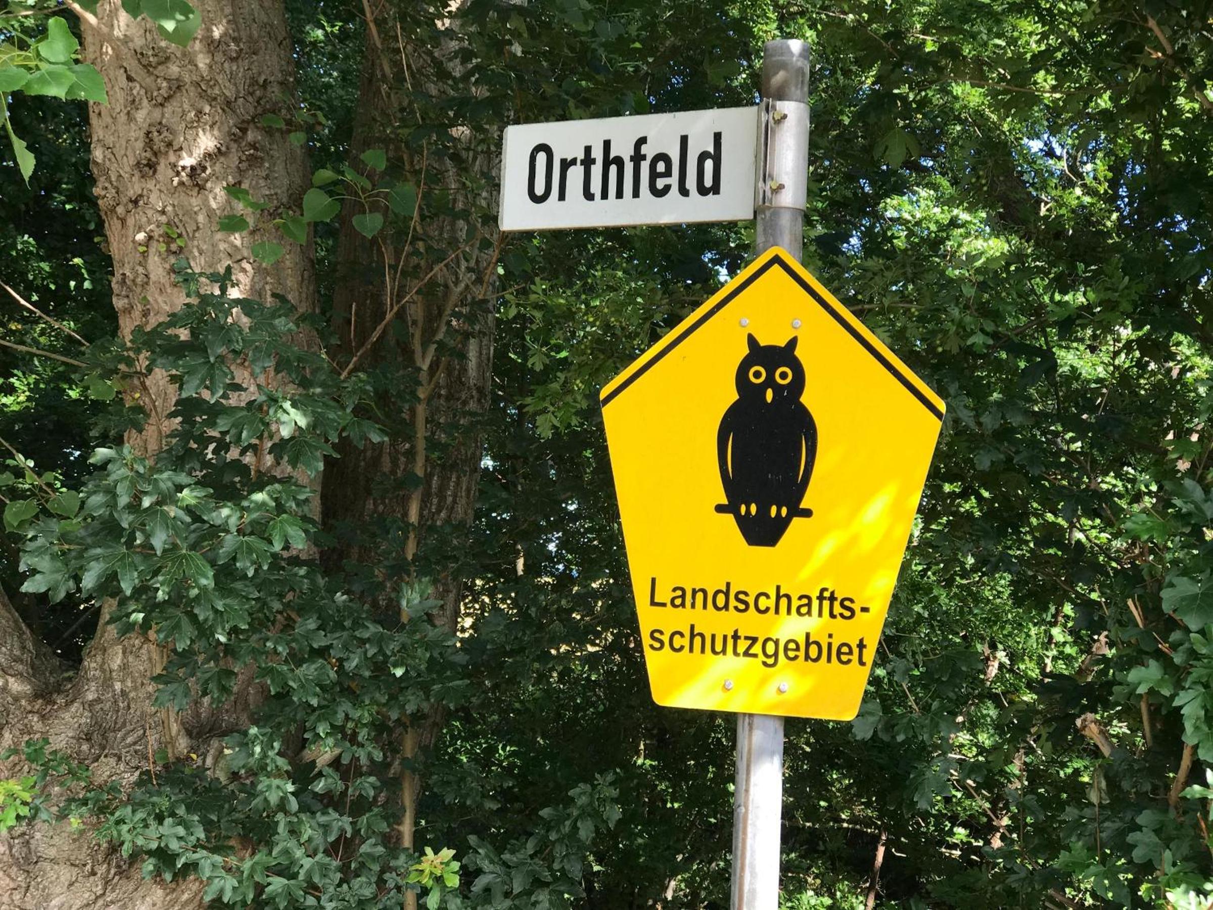 Orthfeld 14