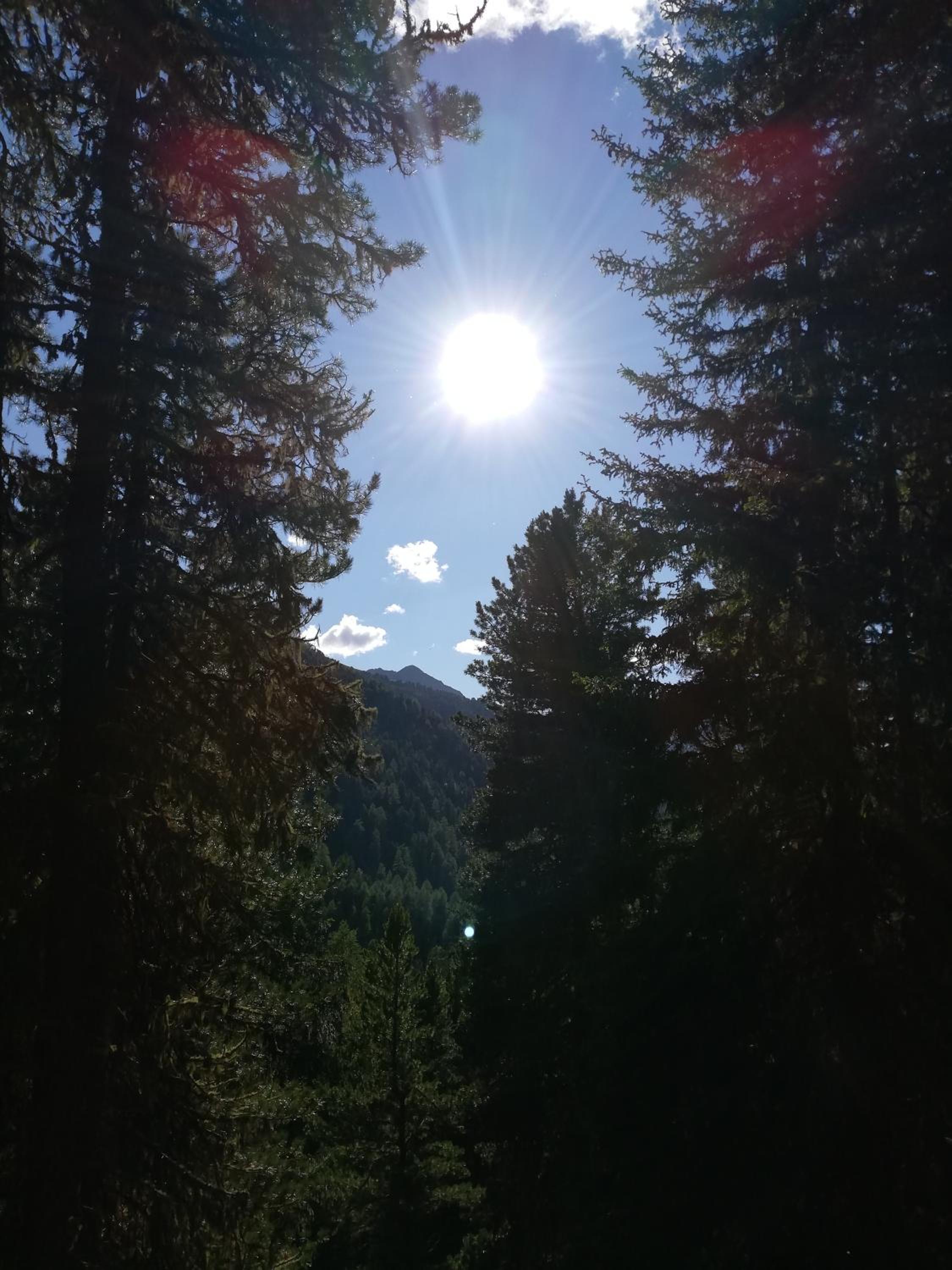 Photo 46