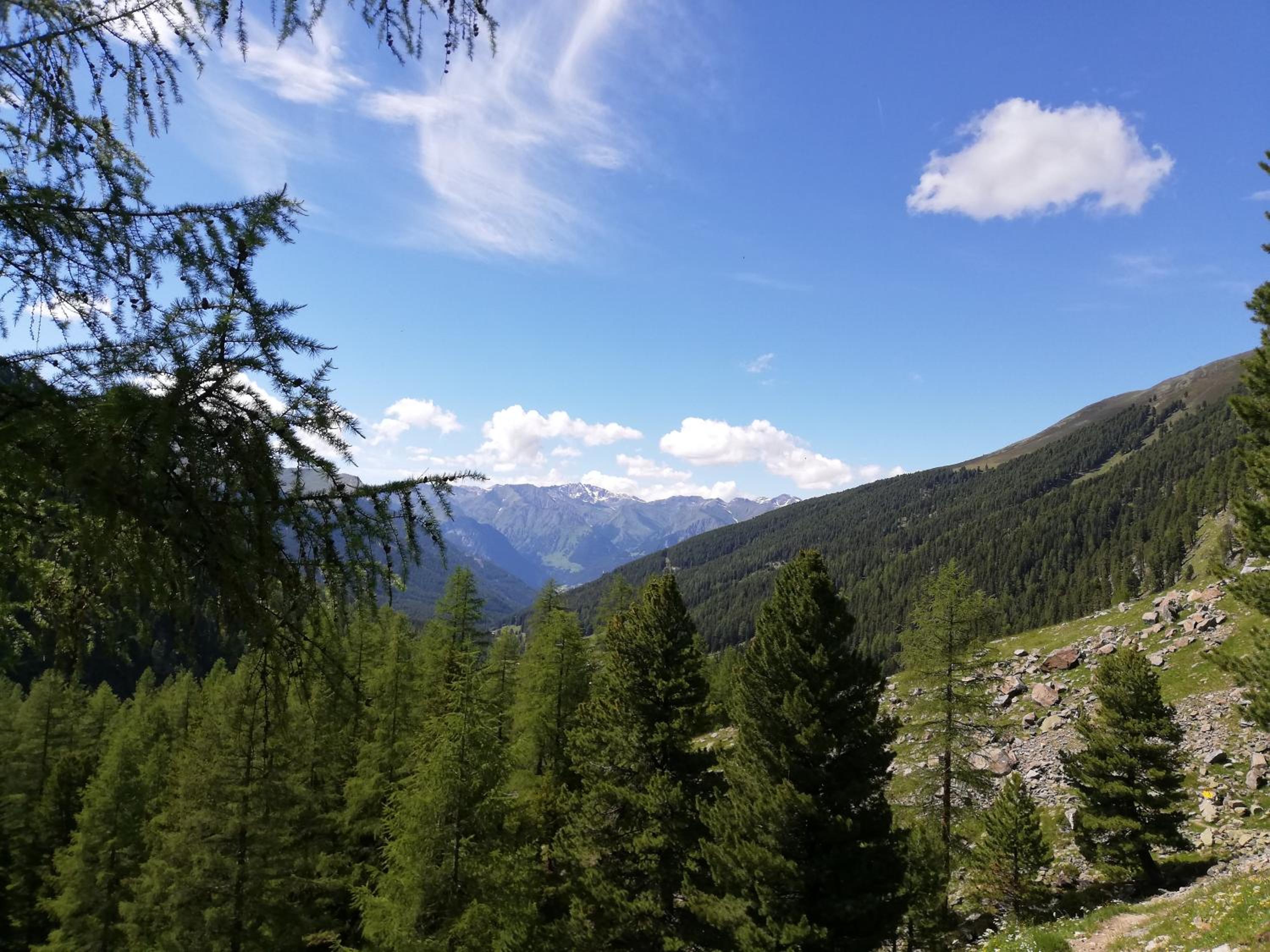 Photo 45