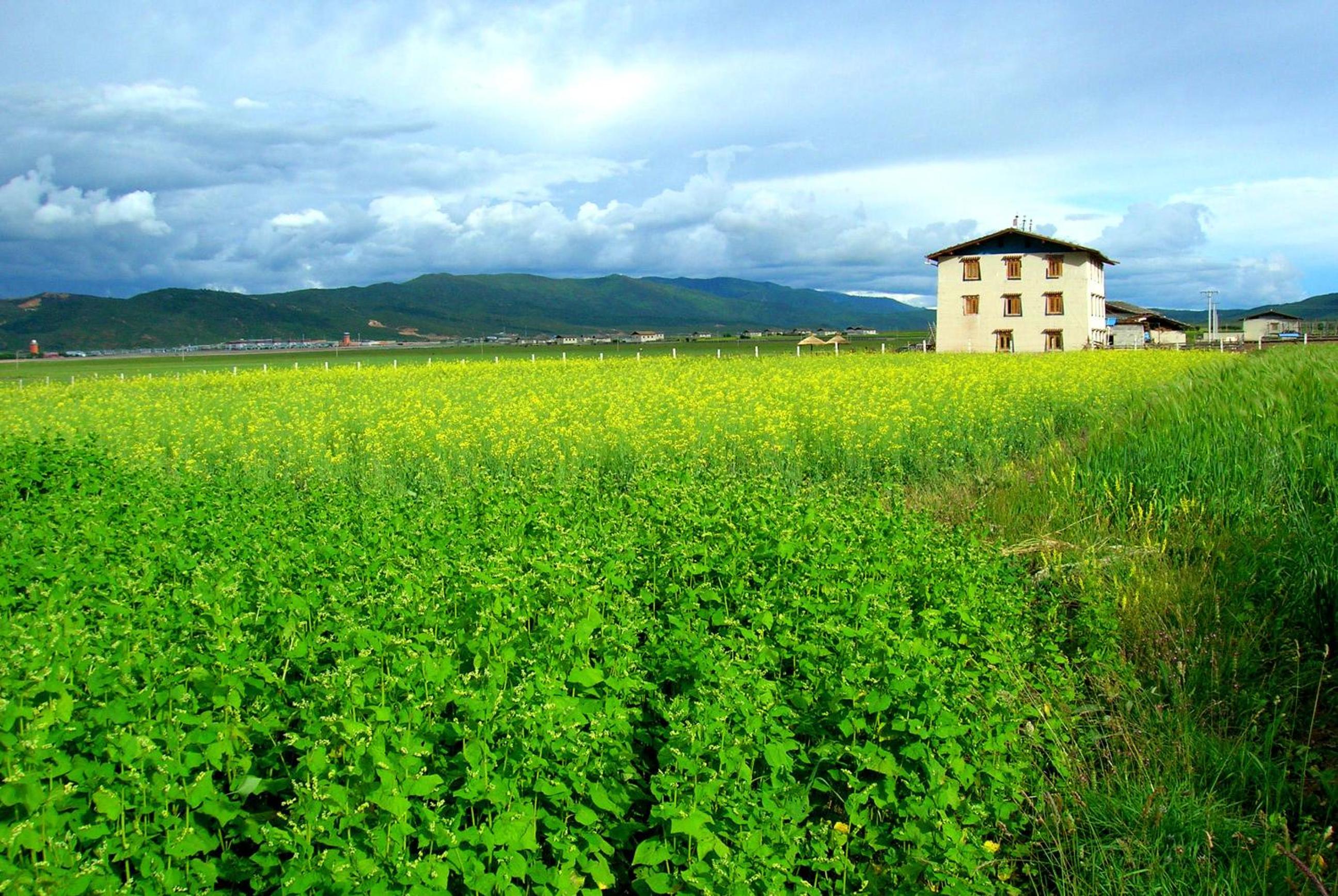 Shangri-La Lao Shay Youth Hostel