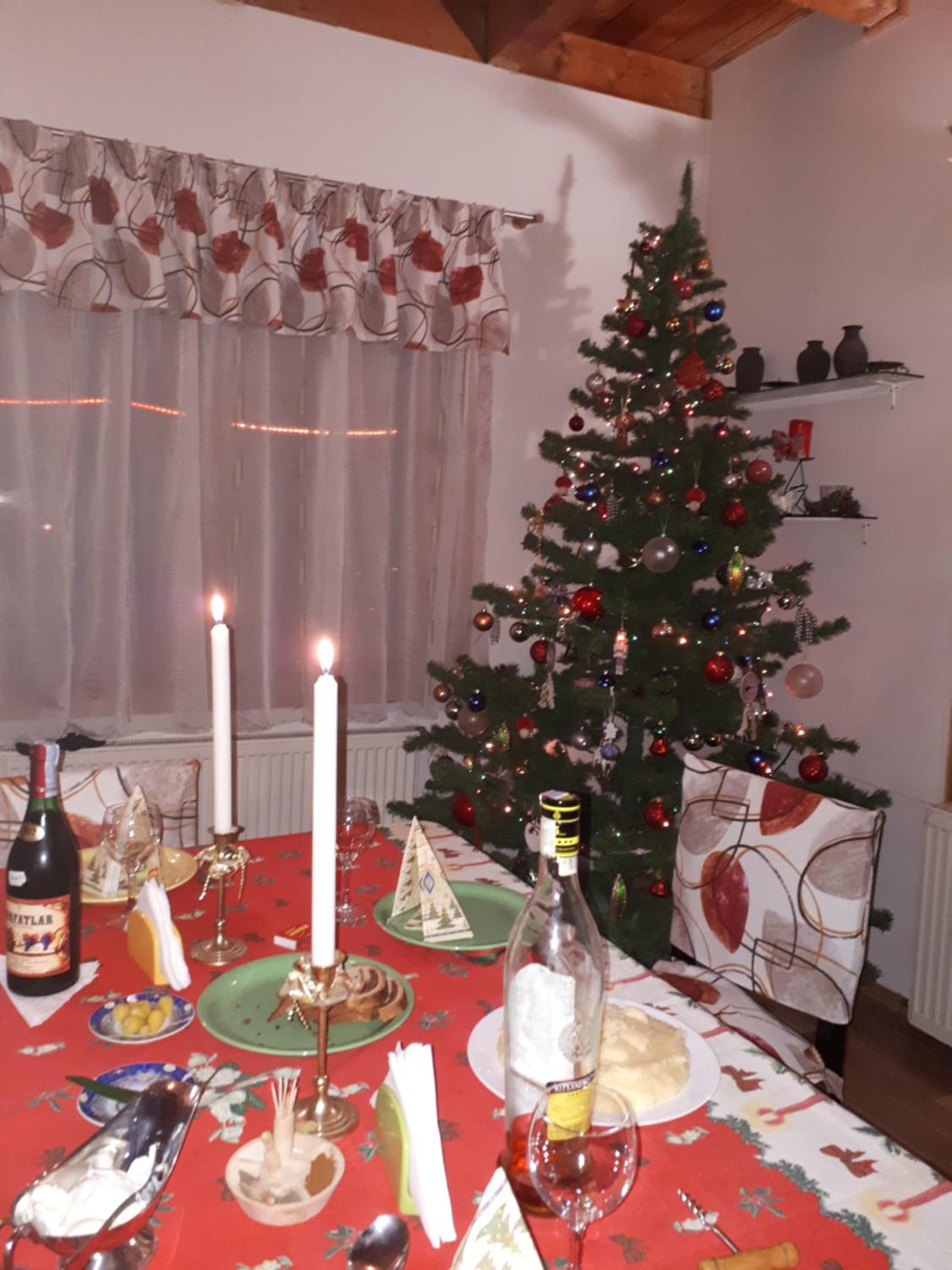 Family House view 2