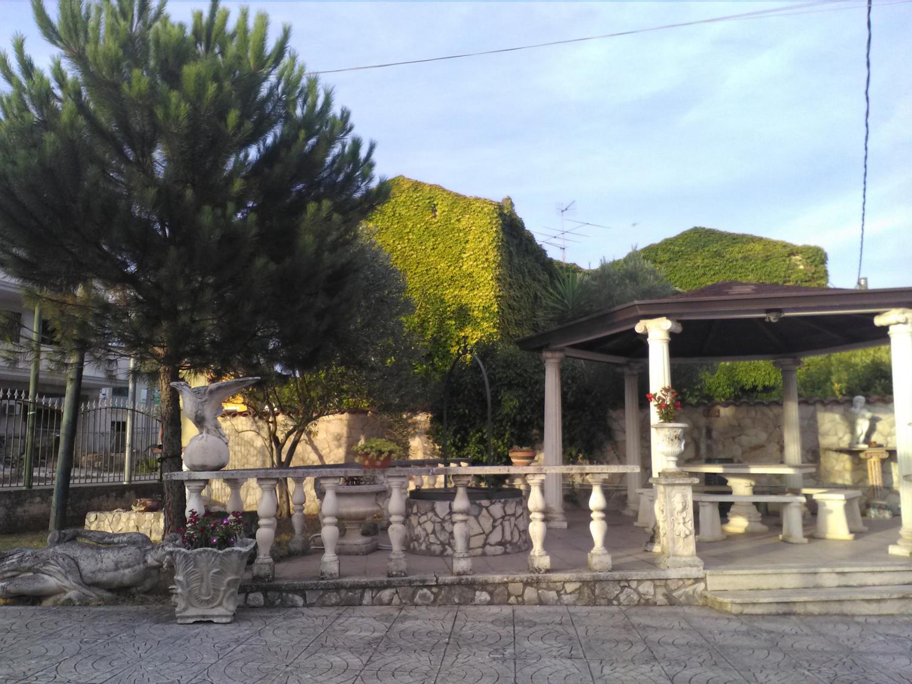 Oasi nel verde view 4