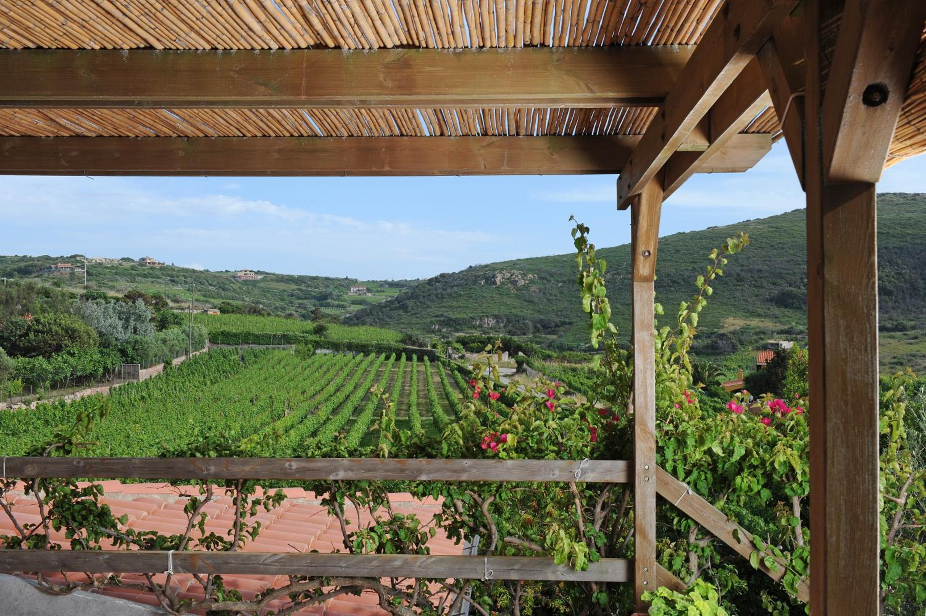 Casa nel vigneto con vista mare view 5