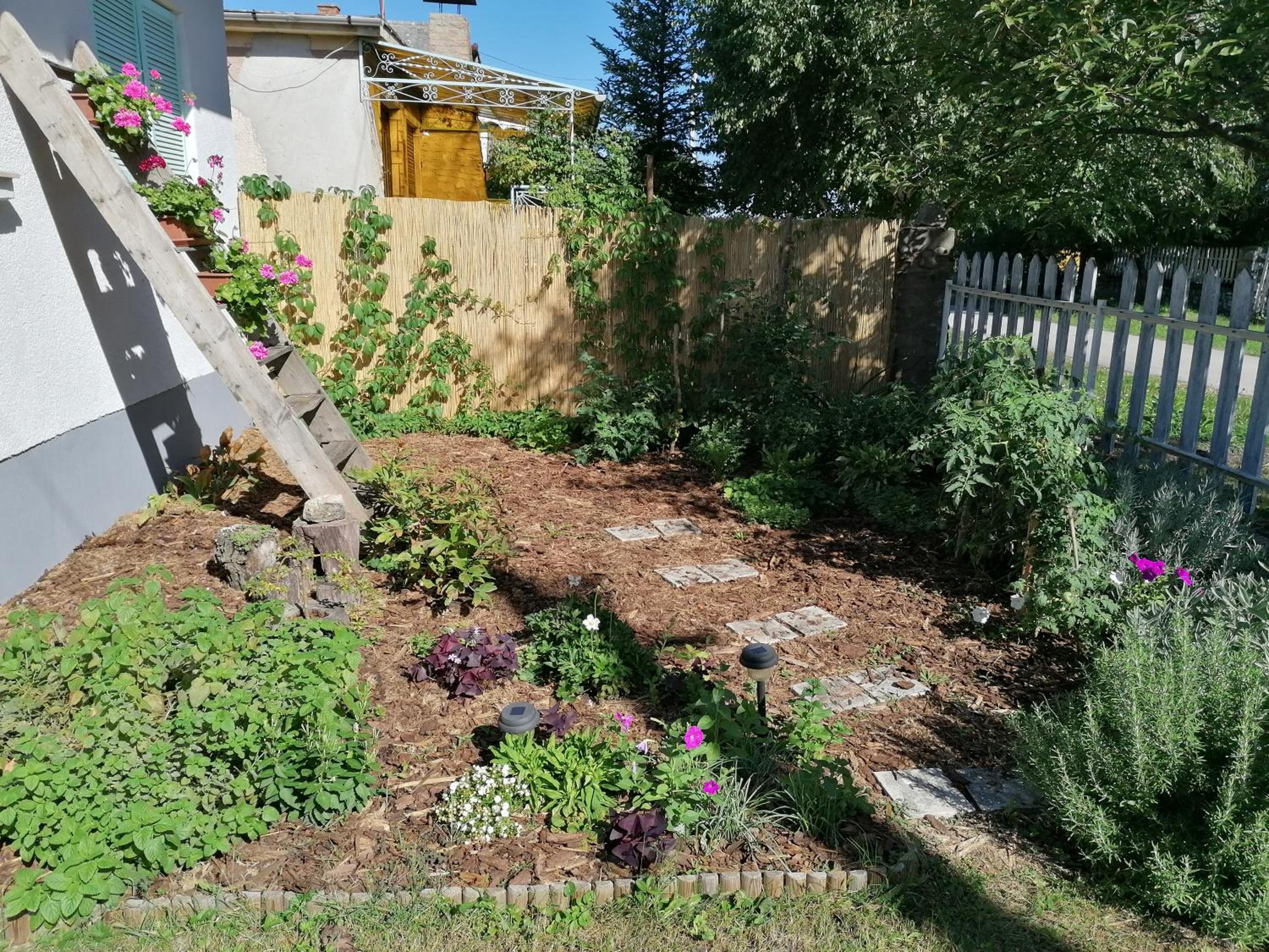 Photo 28