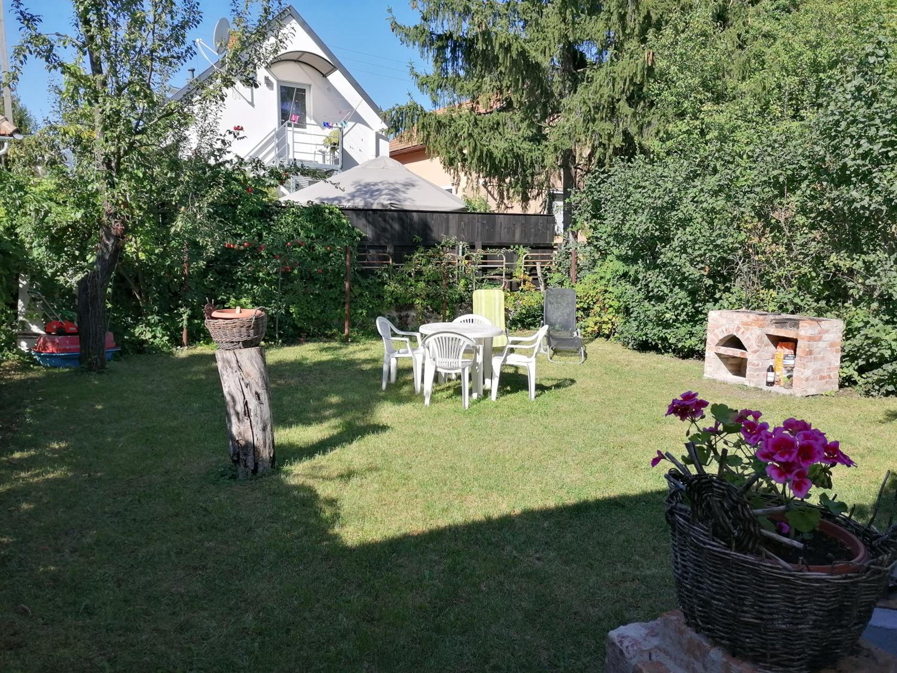Photo 31