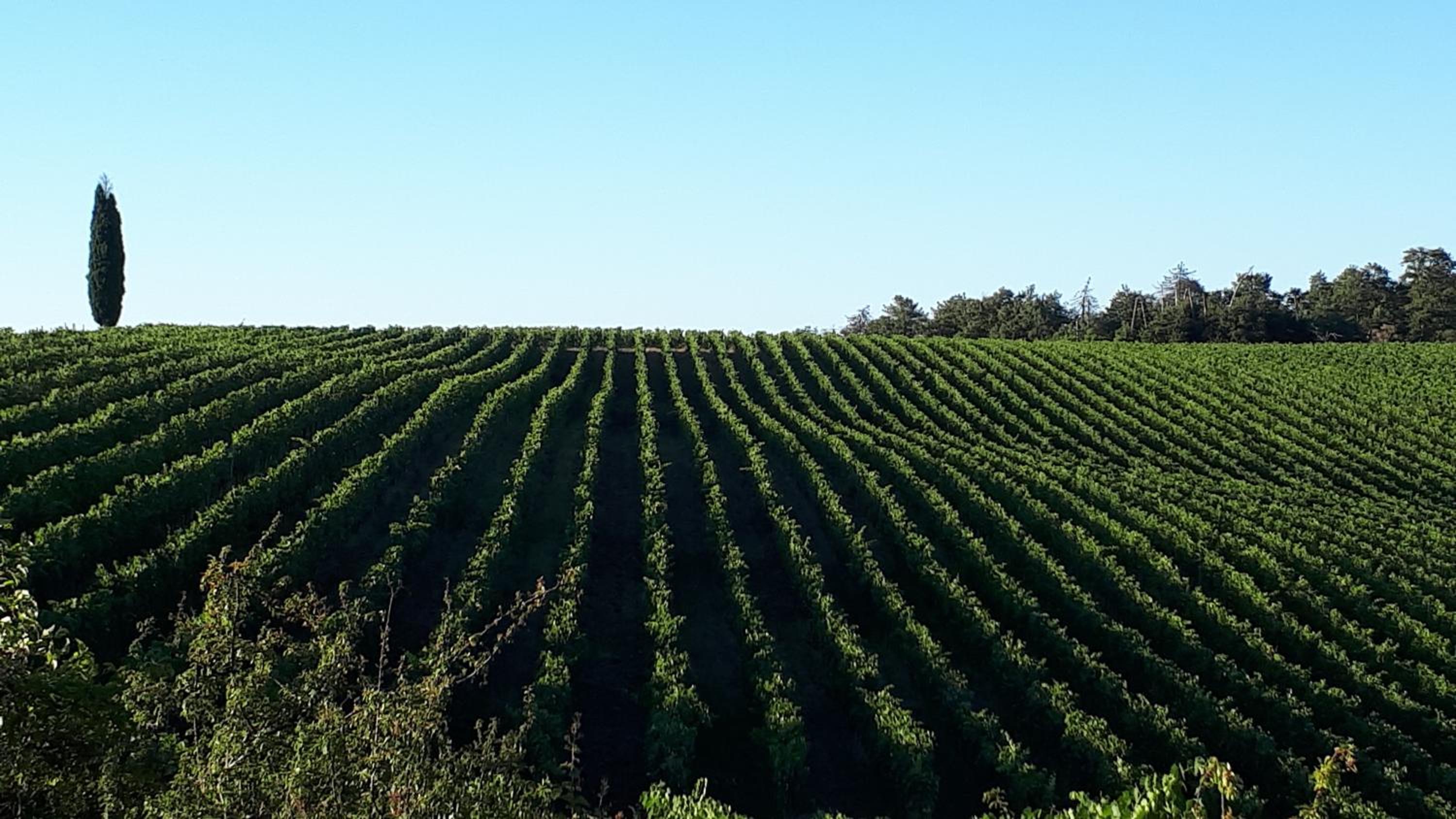 Podere Pievina Delle Corti - Dimora di Campagna