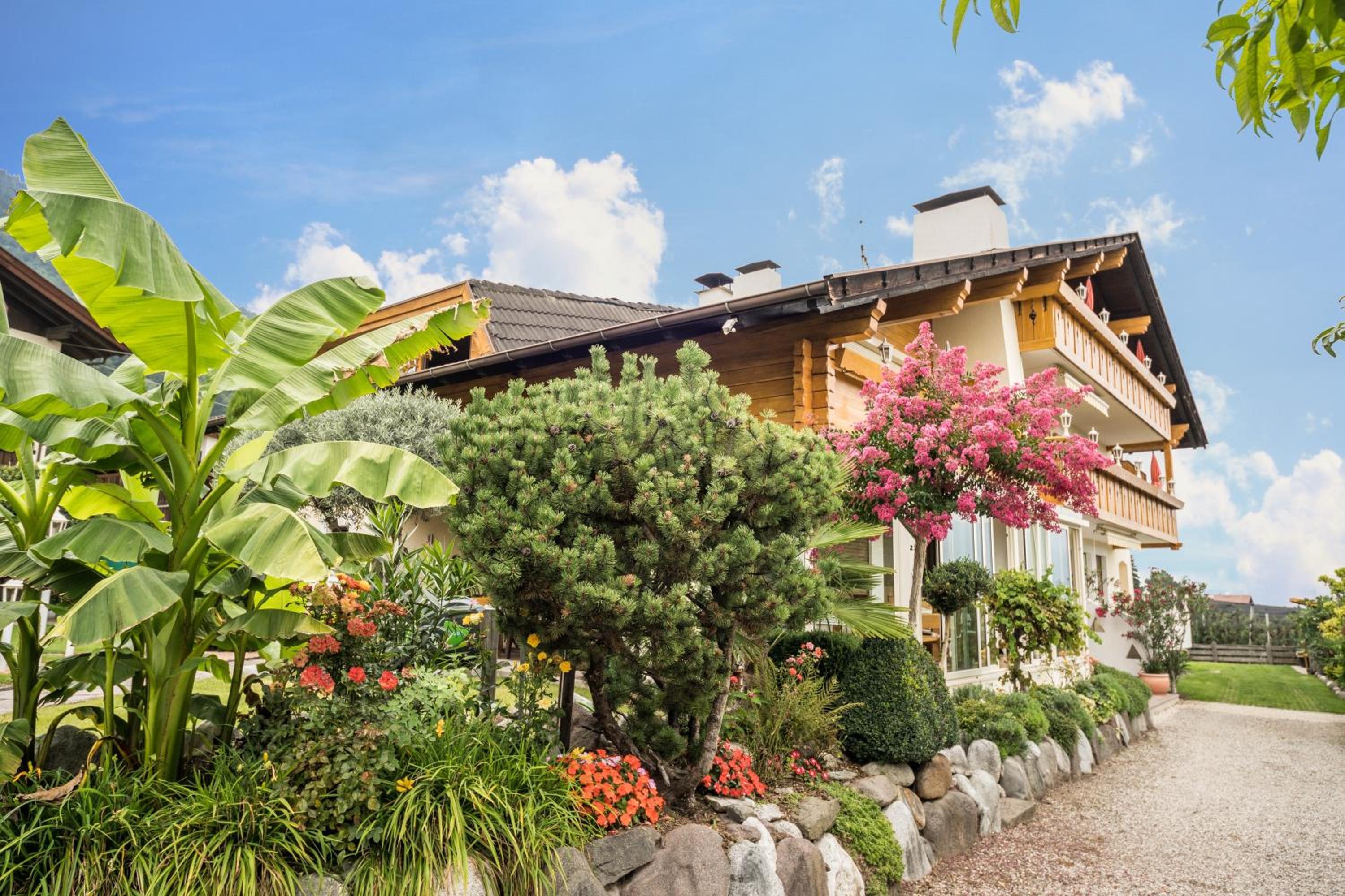 Residence Kronstein - Fewo 2 view 2